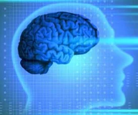 neurological-diseases.jpg