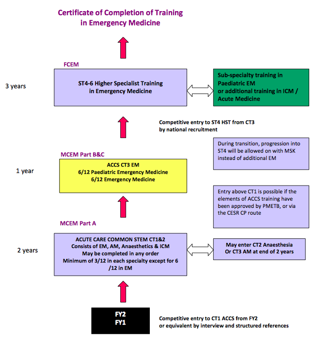 Overview of training.png