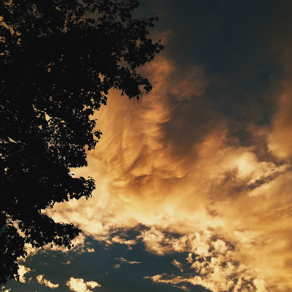 One of the first images I took with the iPhone 6 Plus.
