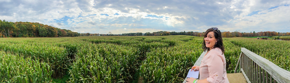 The pano mode on the iPhone is pretty awesome!