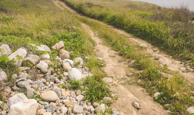 The Road Less Traveled