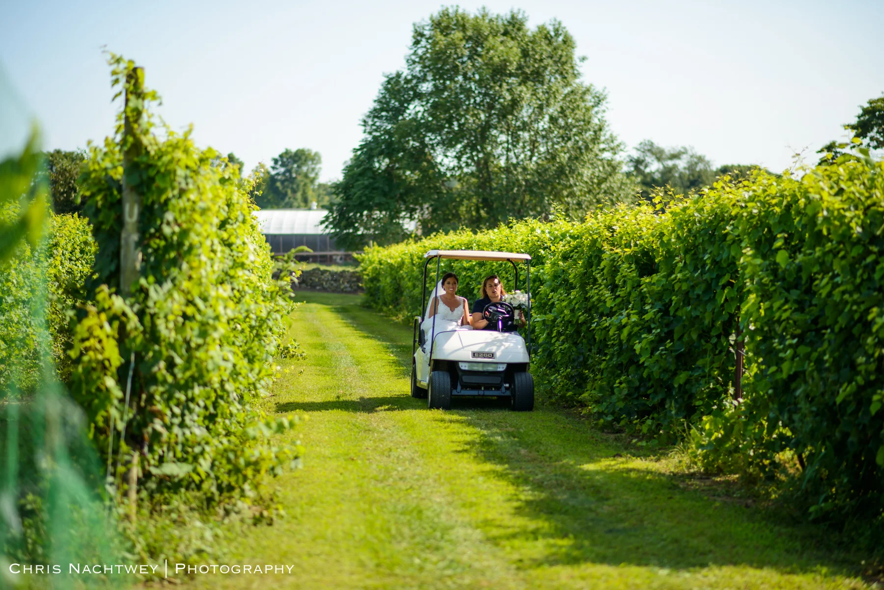 wedding-lake-of-isles-photos-chris-nachtwey-photography-2019-12.jpg