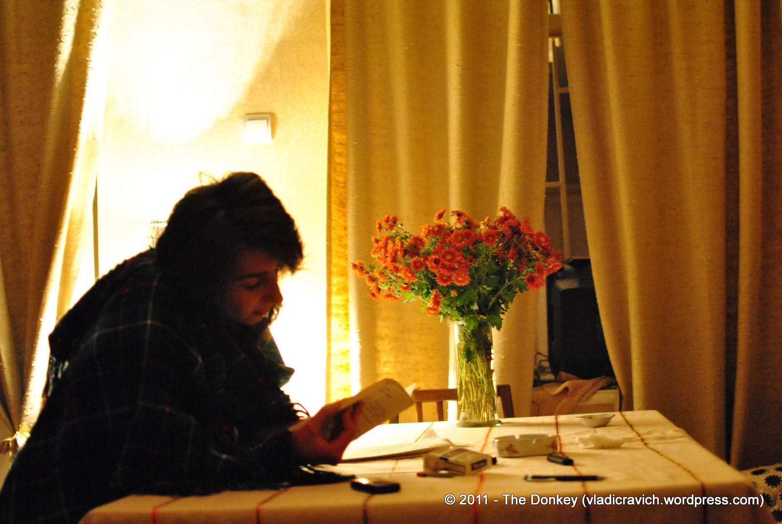 A girl reads at Nikolas' home cafe