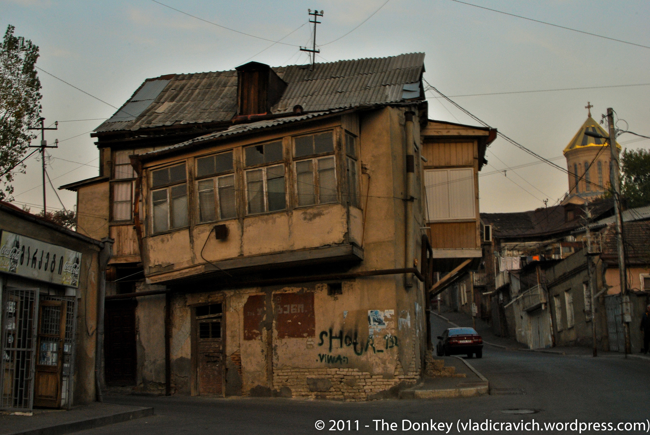 DSC_0031 (2)