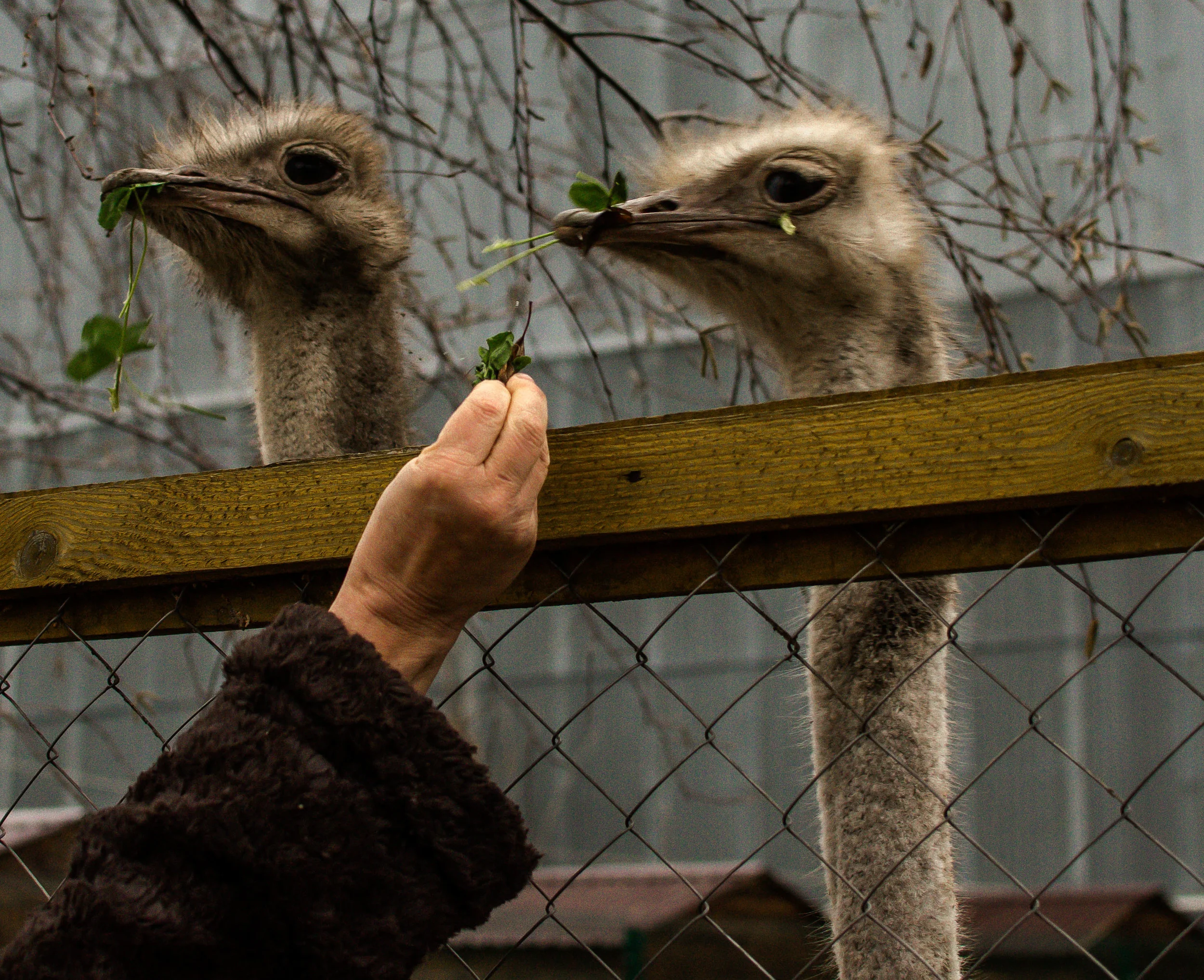 20121203-_DSC3033