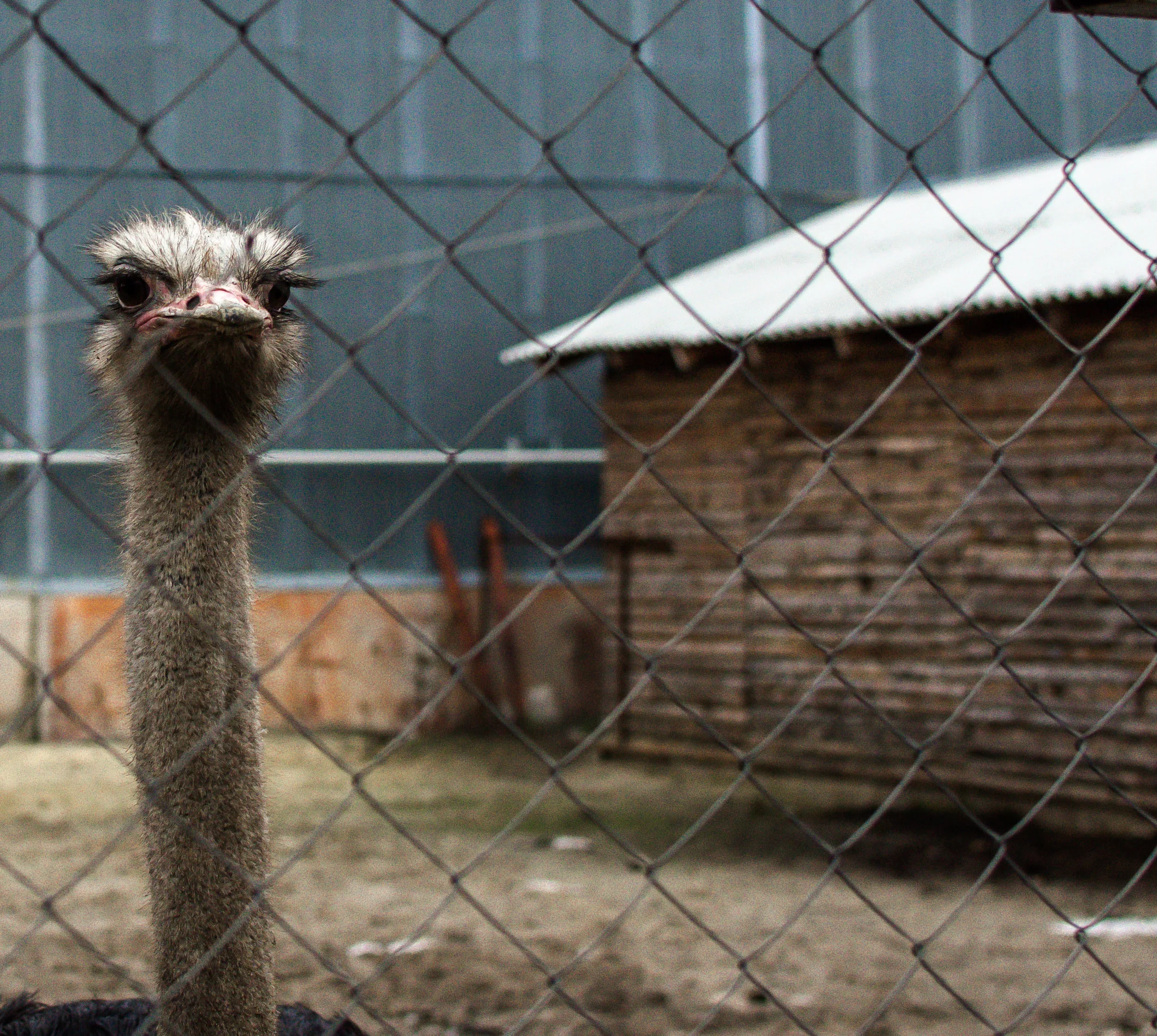 20121203-_DSC3037