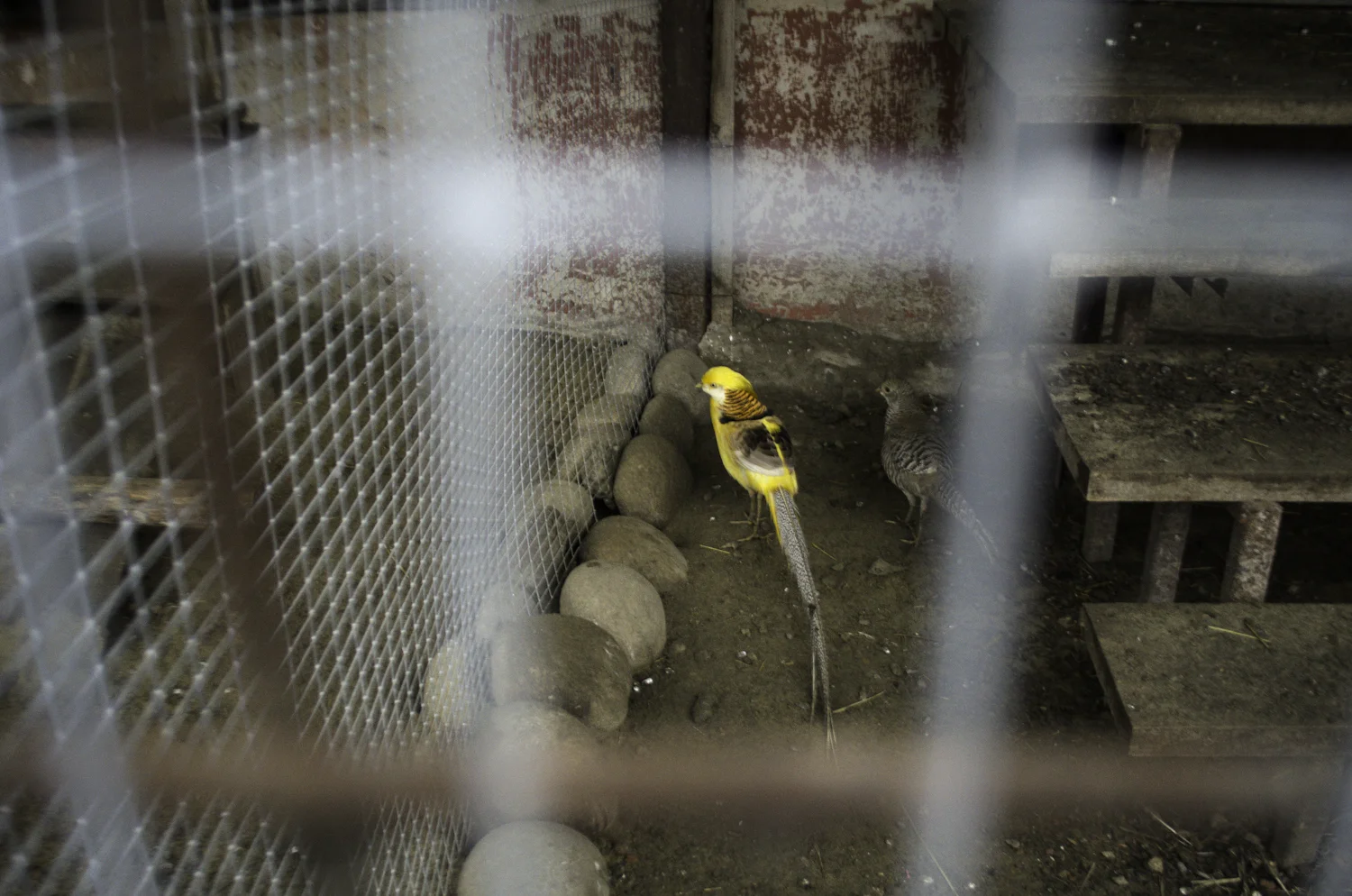 20121203-_DSC3046