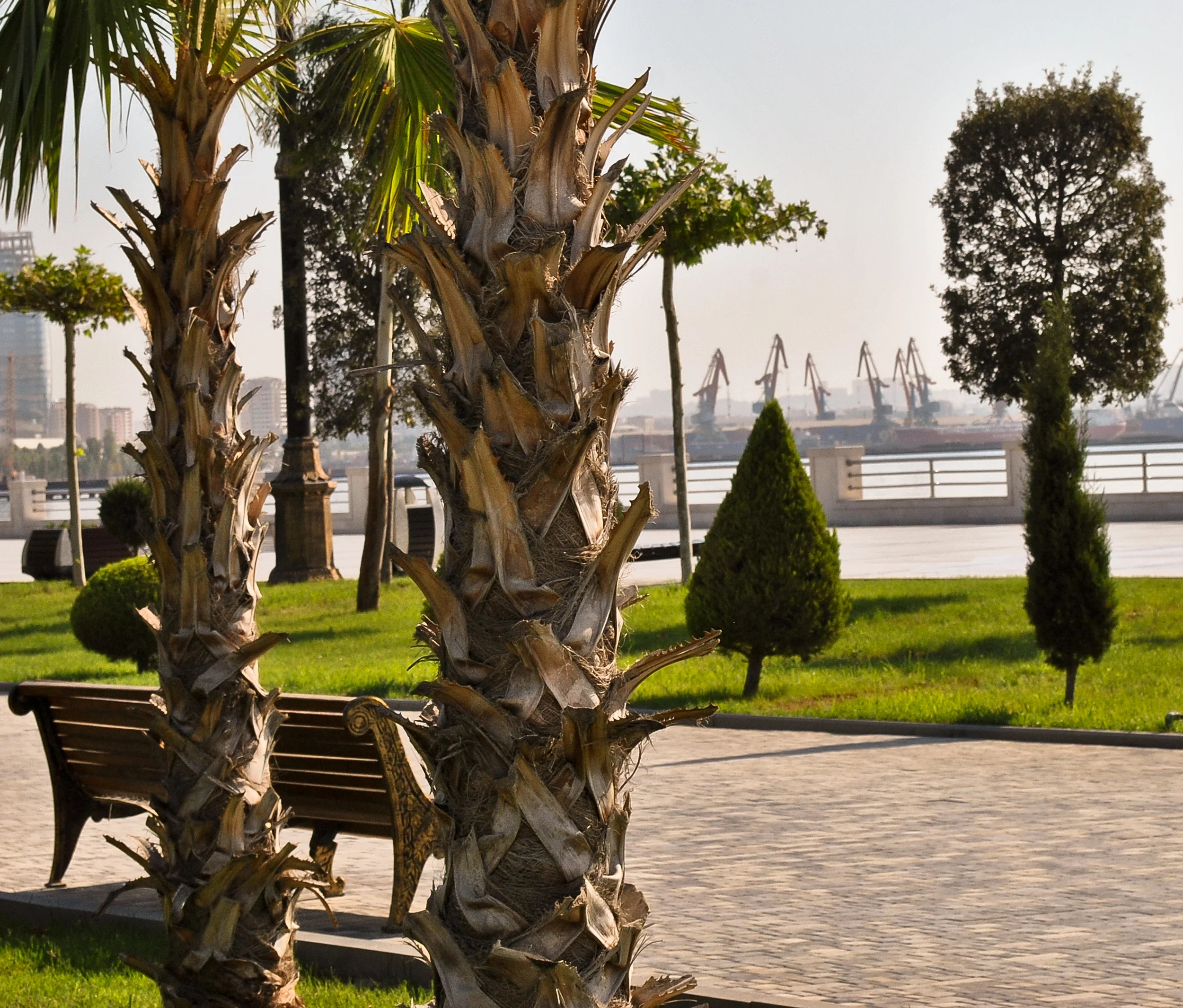 The capital Baku - a brightly lit city full of wide boulevards and European architectural, and oil donkeys just off shore.