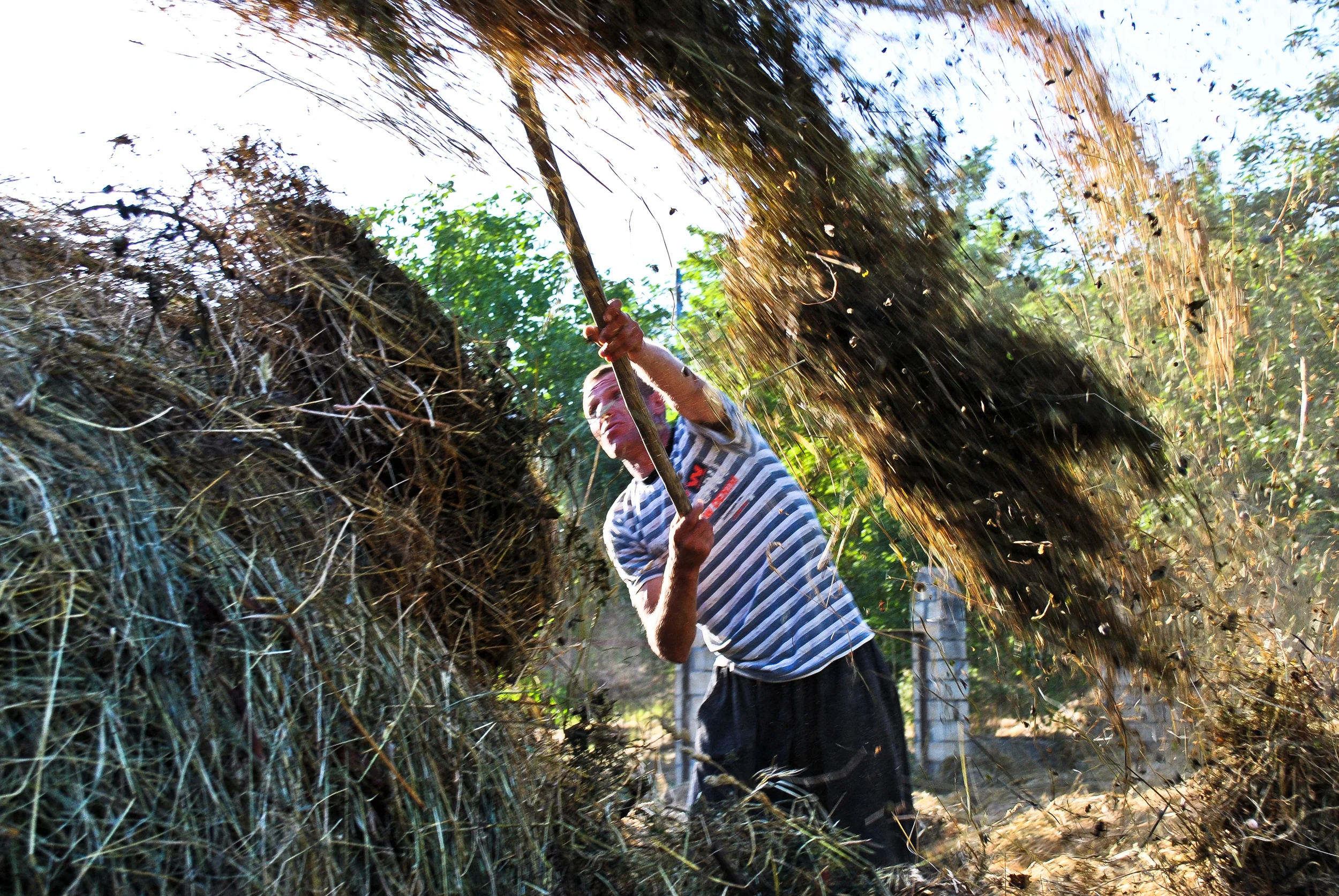 Farmers