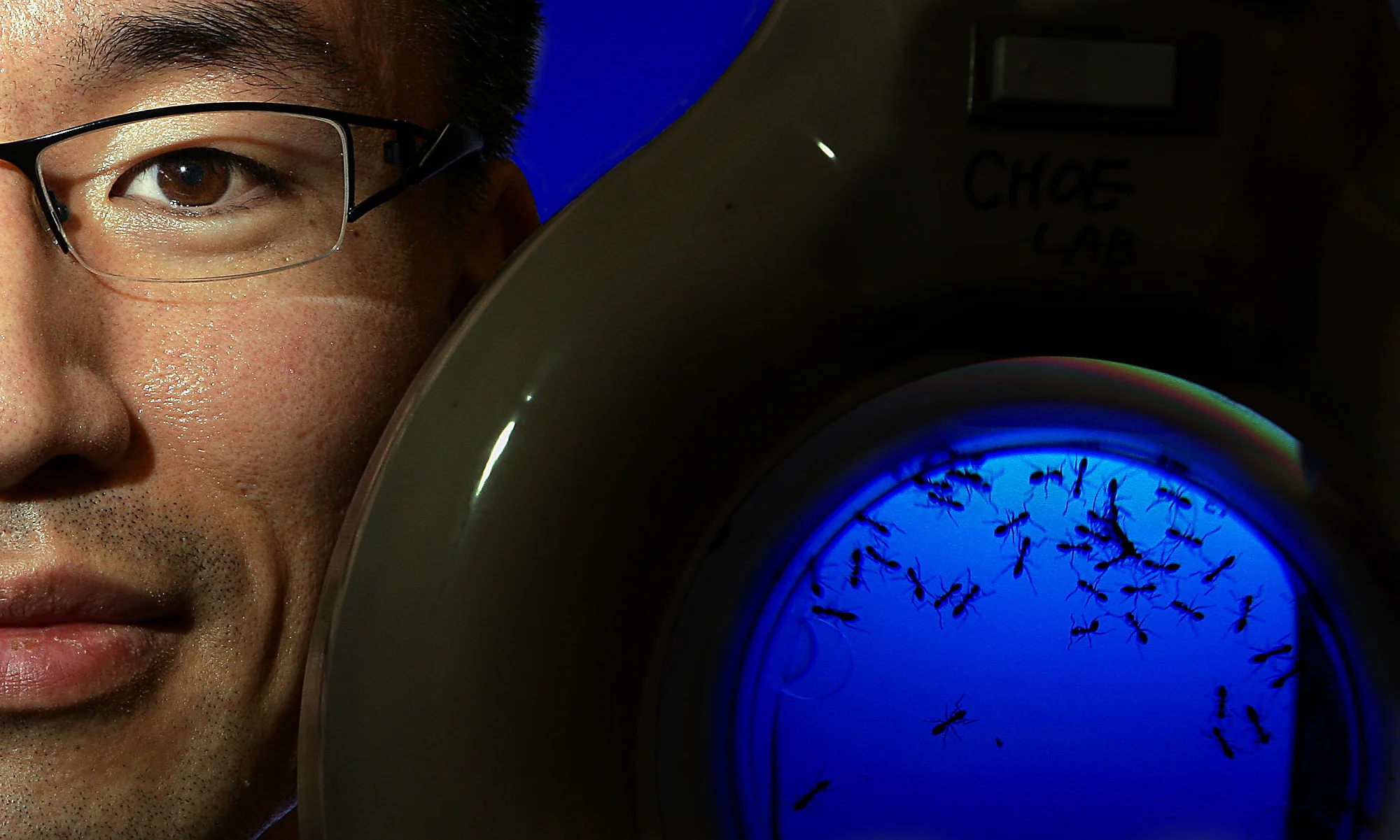 Portrait - 1st Place