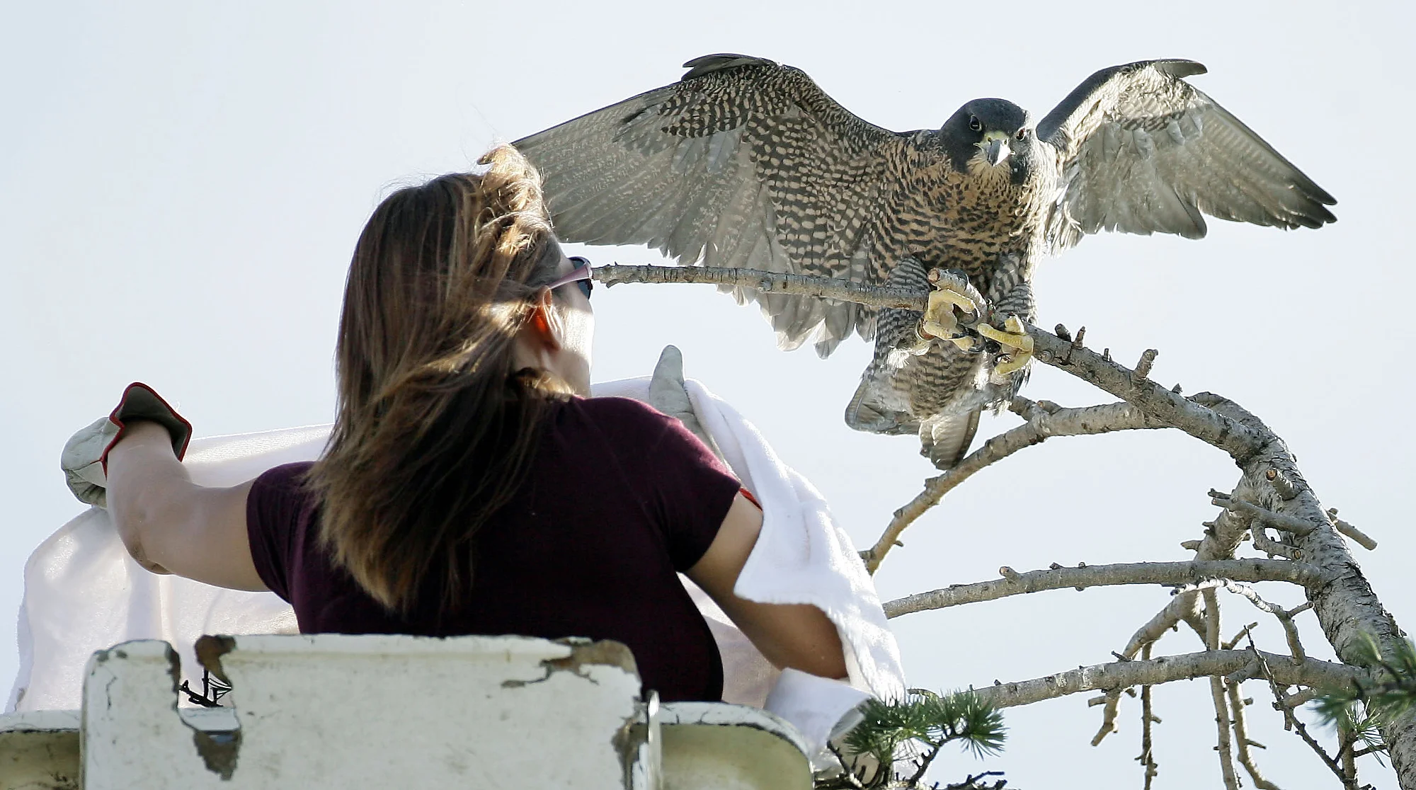 Photo Essay - 3rd Place