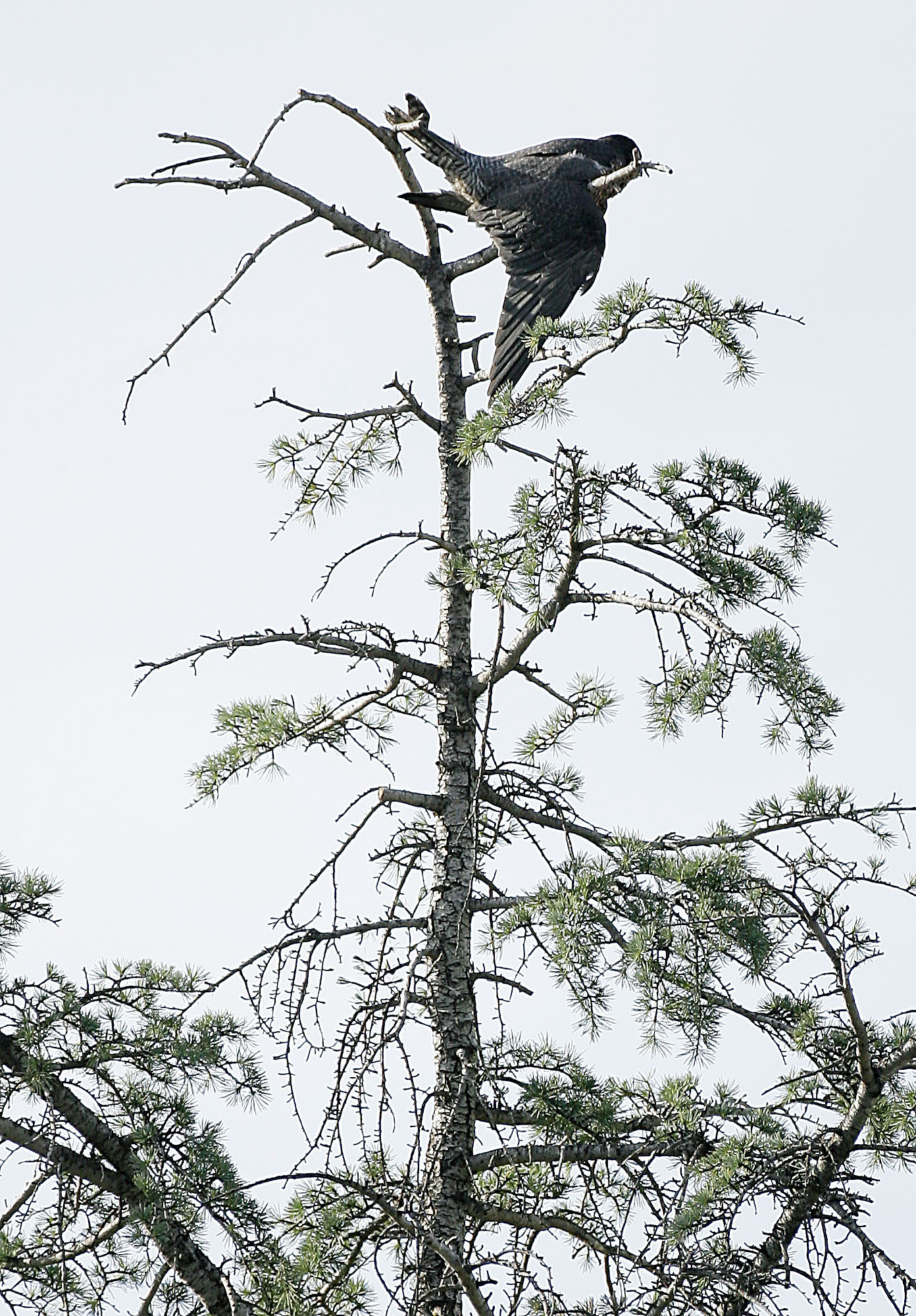 Photo Essay - 3rd Place