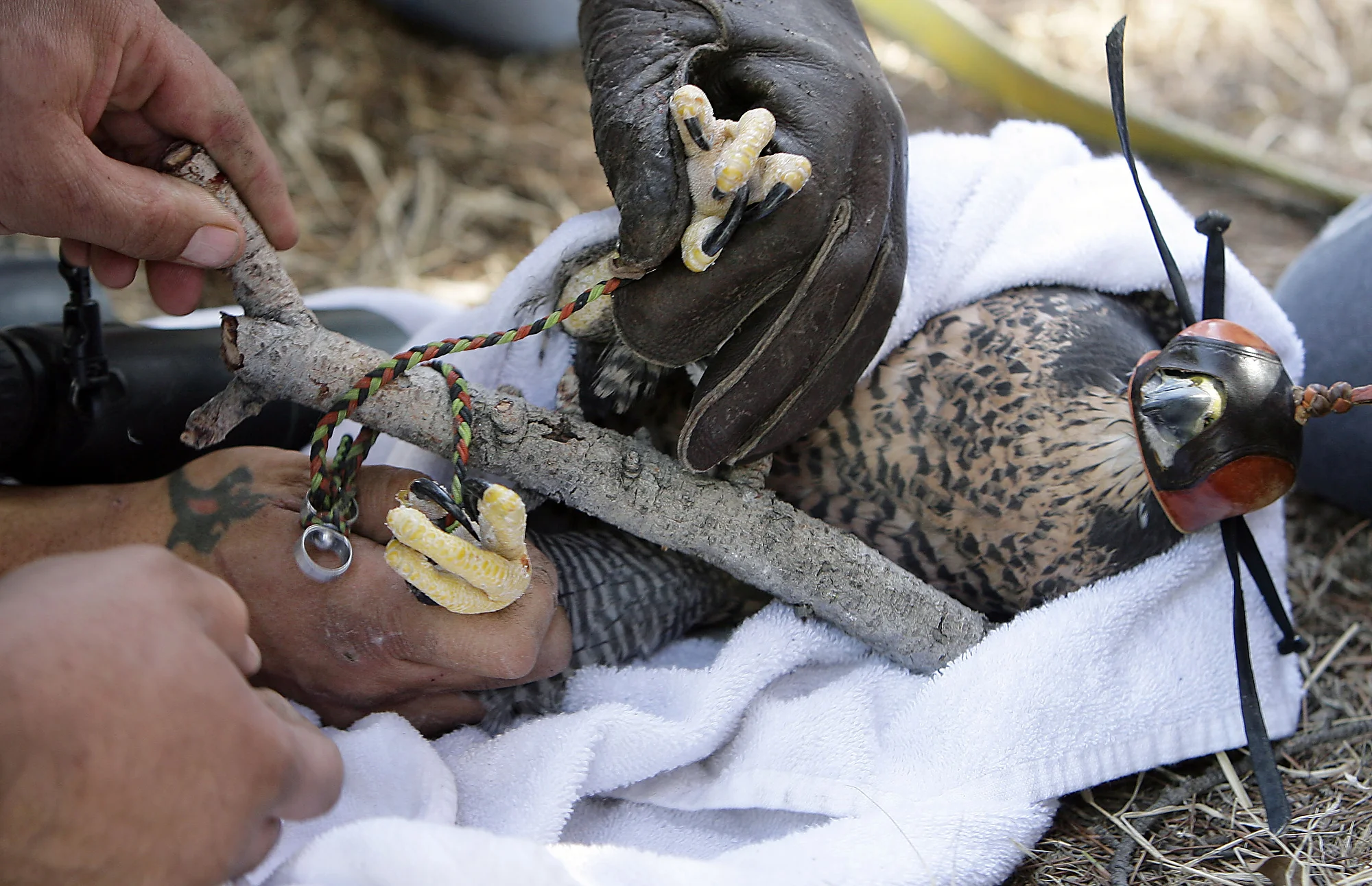 Photo Essay - 3rd Place