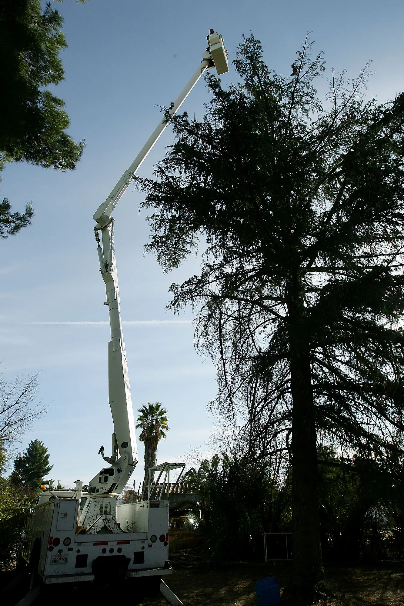 Photo Essay - 3rd Place