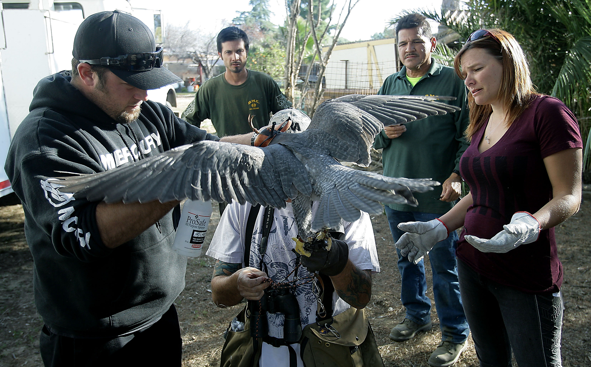 Photo Essay - 3rd Place