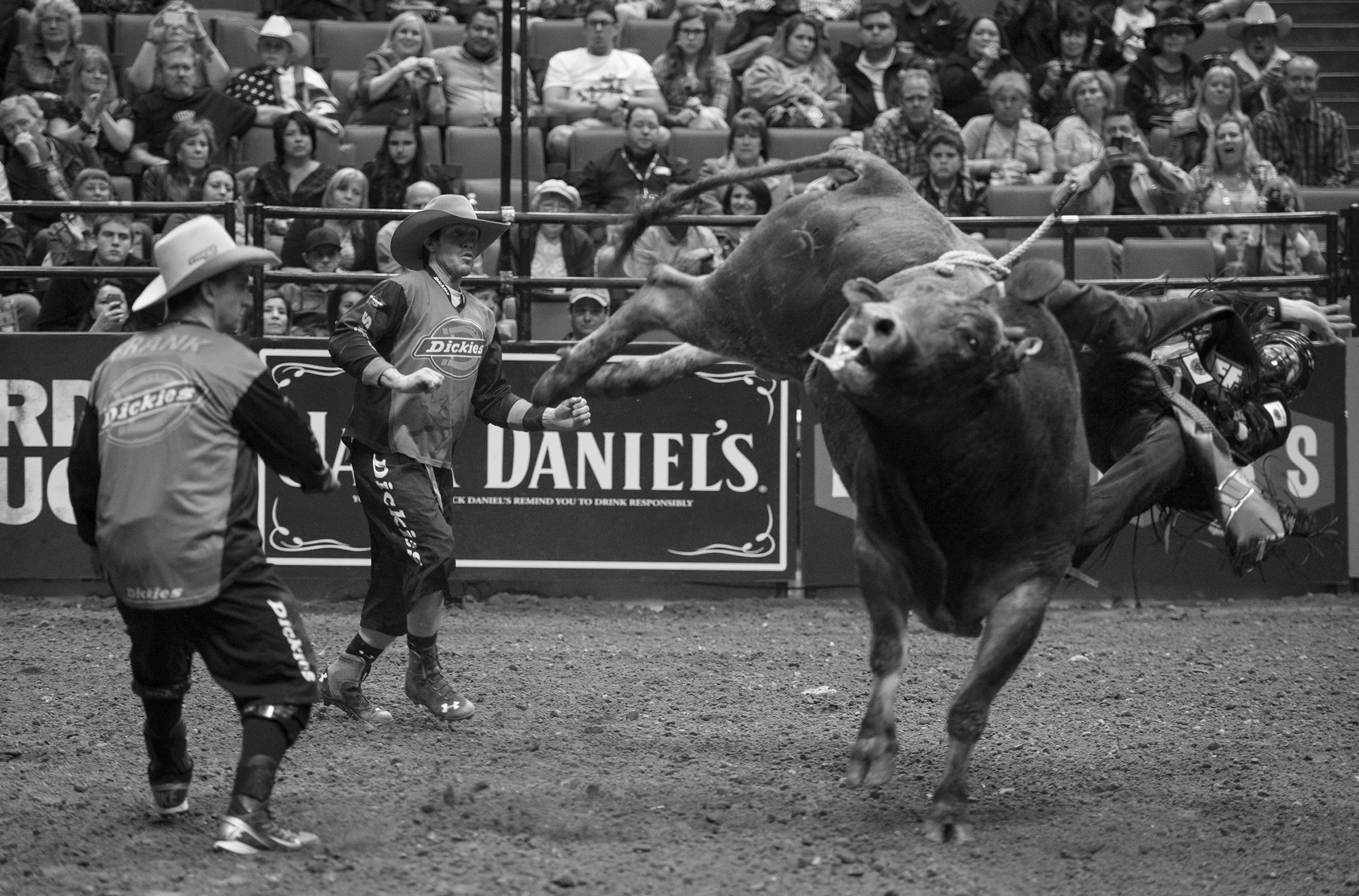Photo Essay - 2nd Place