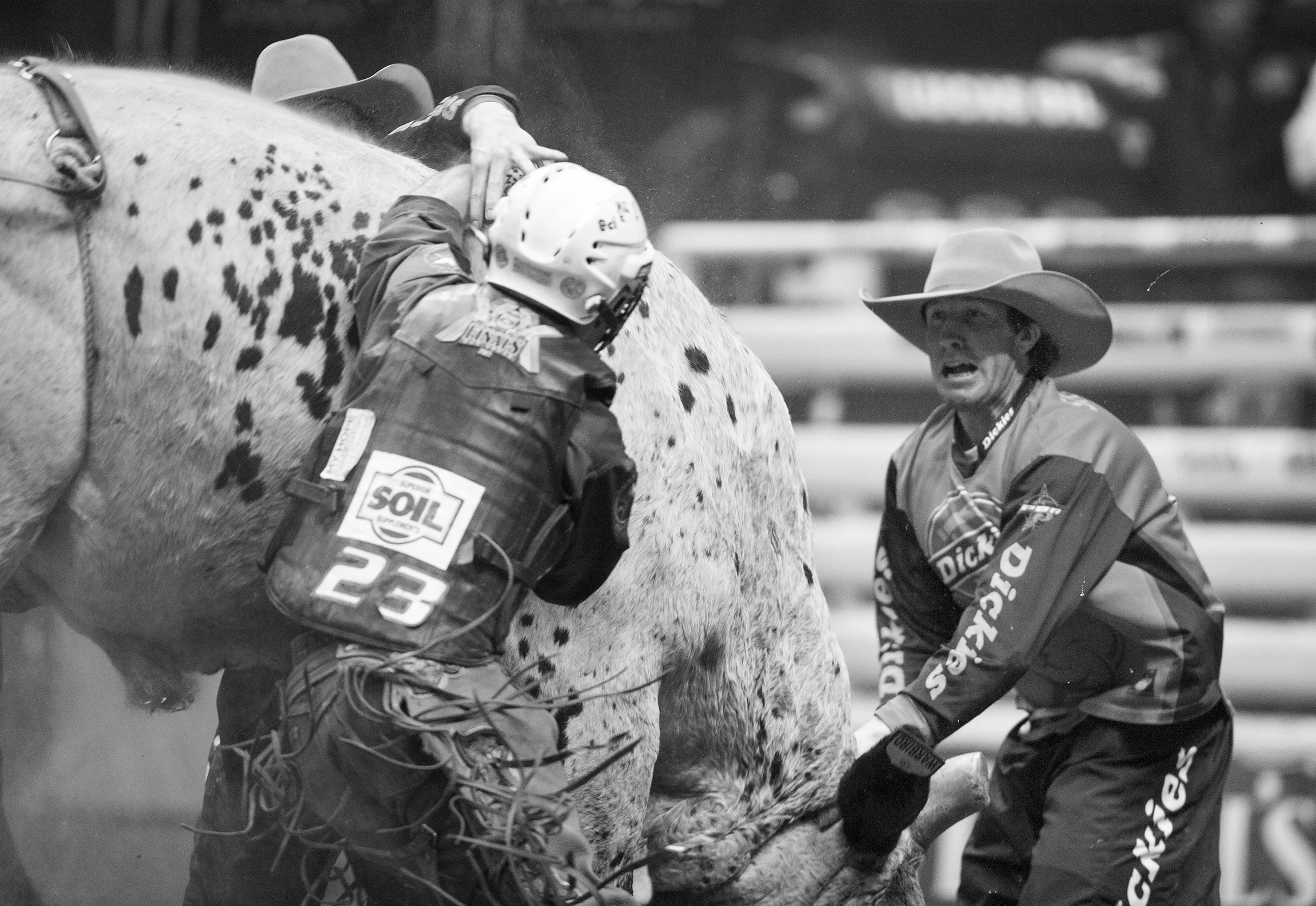 Photo Essay - 2nd Place
