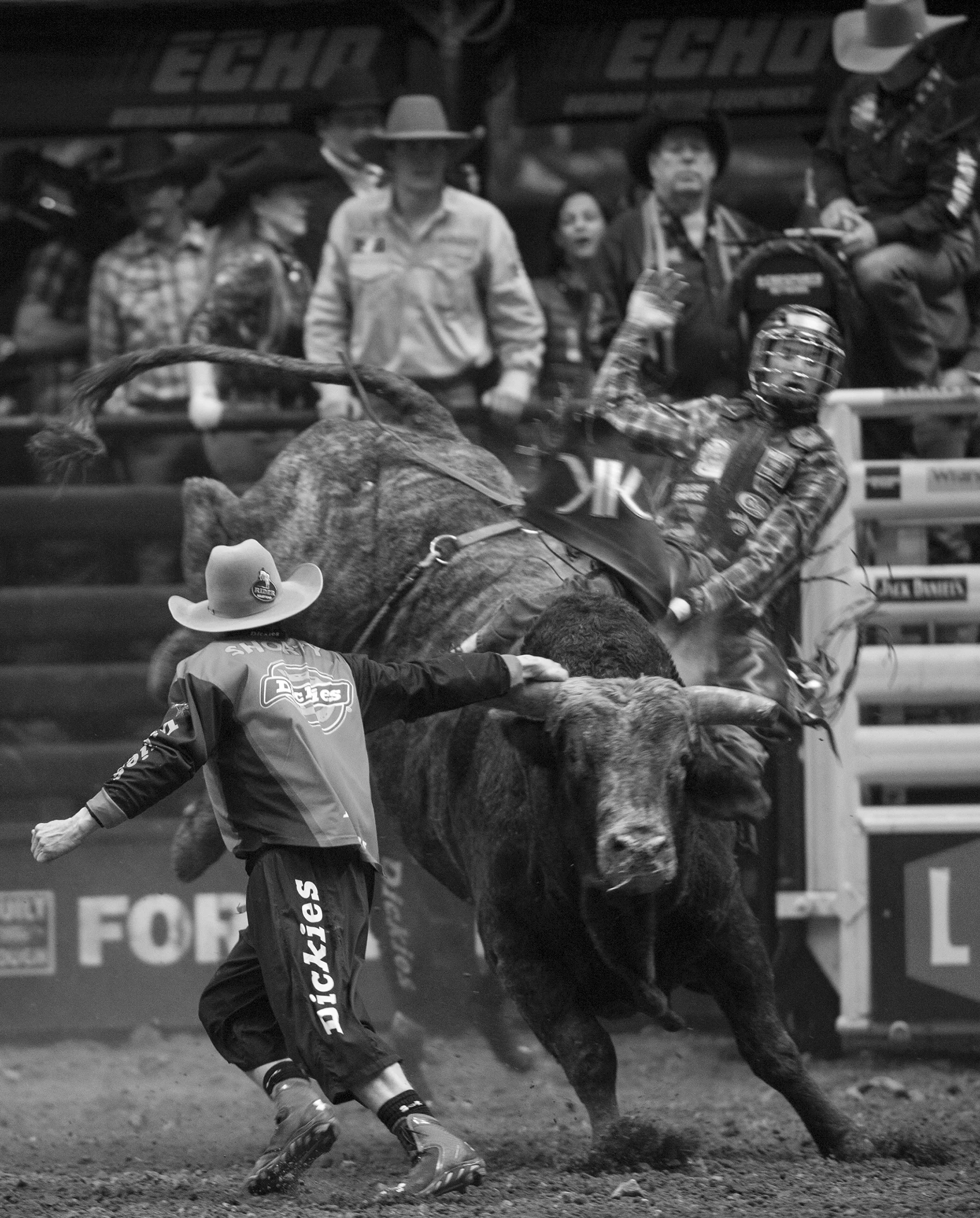Photo Essay - 2nd Place