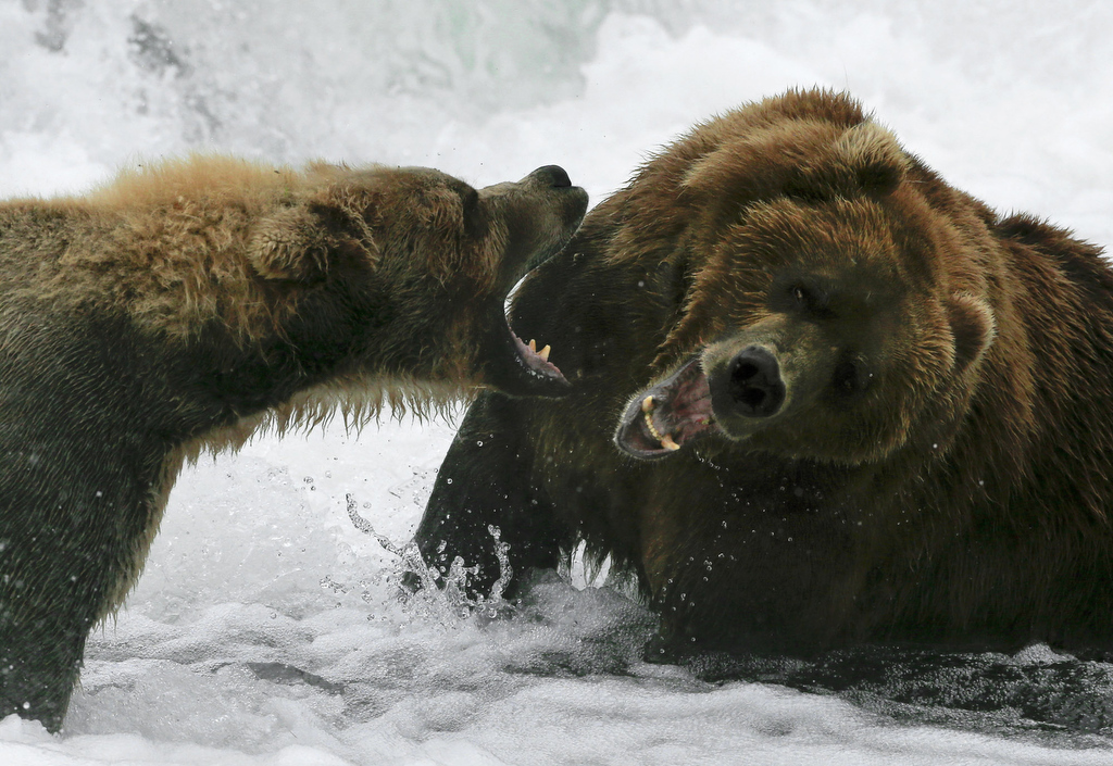  3rd Place -&nbsp;Mark Boster -&nbsp;Los Angeles Times 