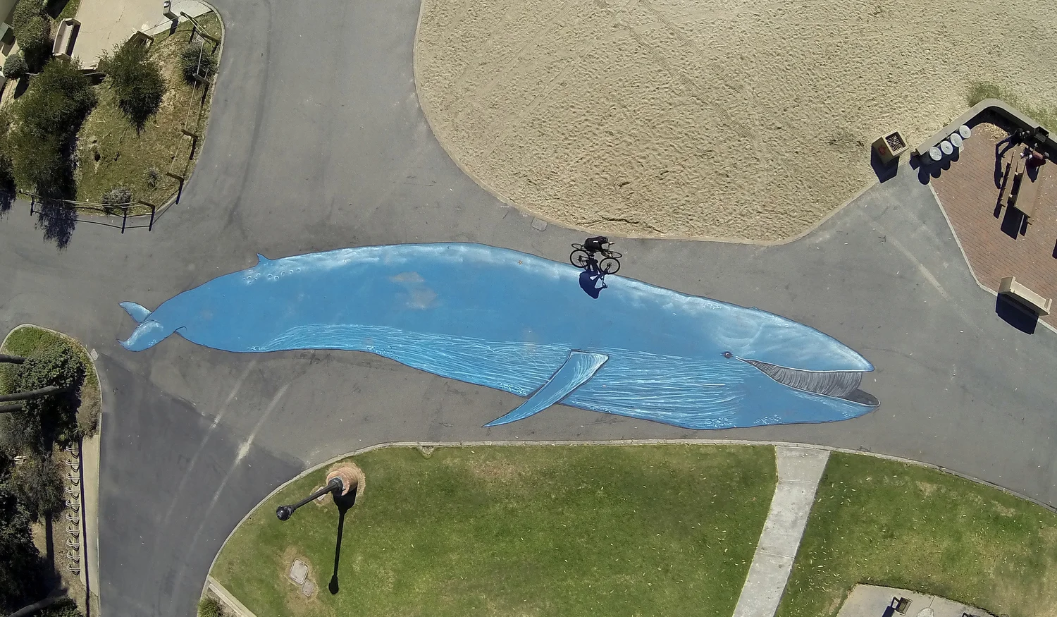 1st Place - Photo Essay