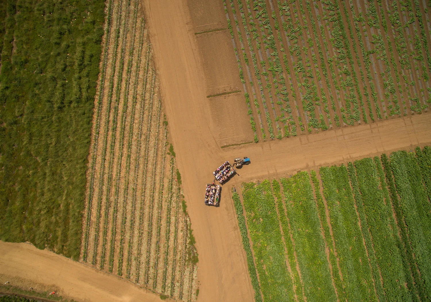 1st Place - Photo Essay