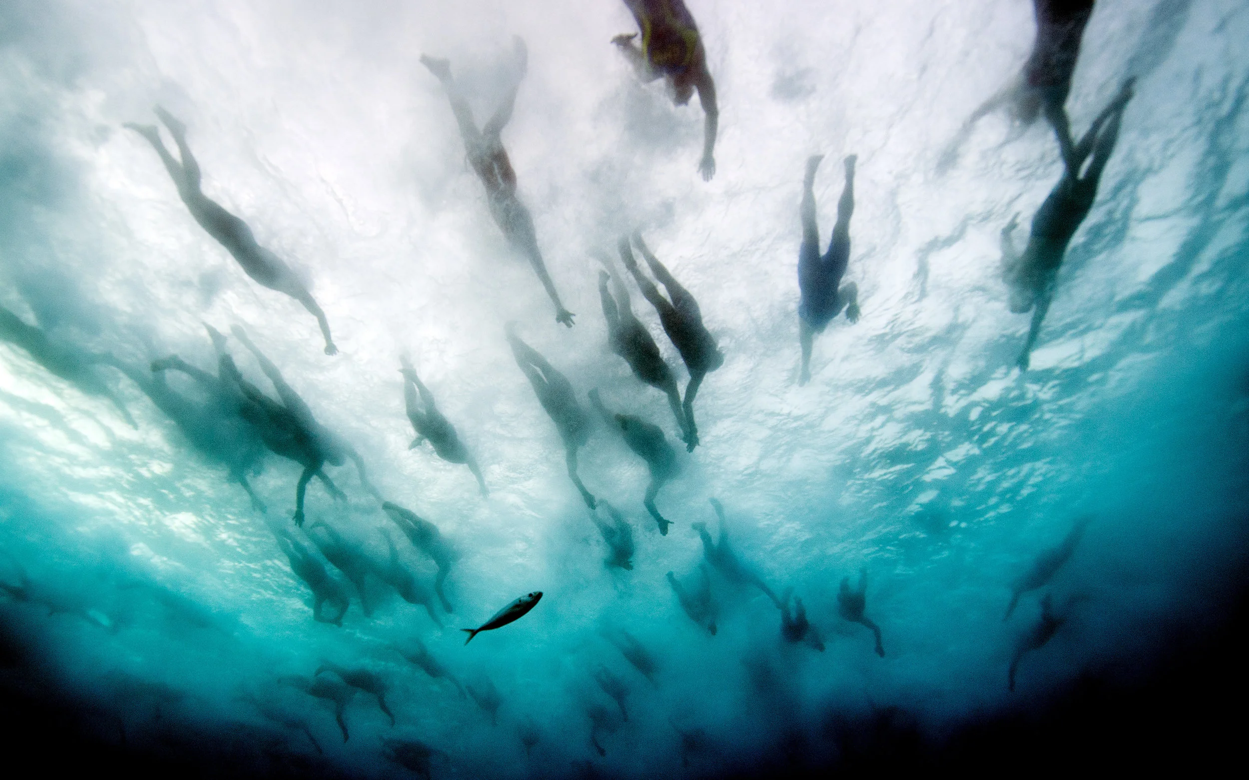 2016 Year End Contest