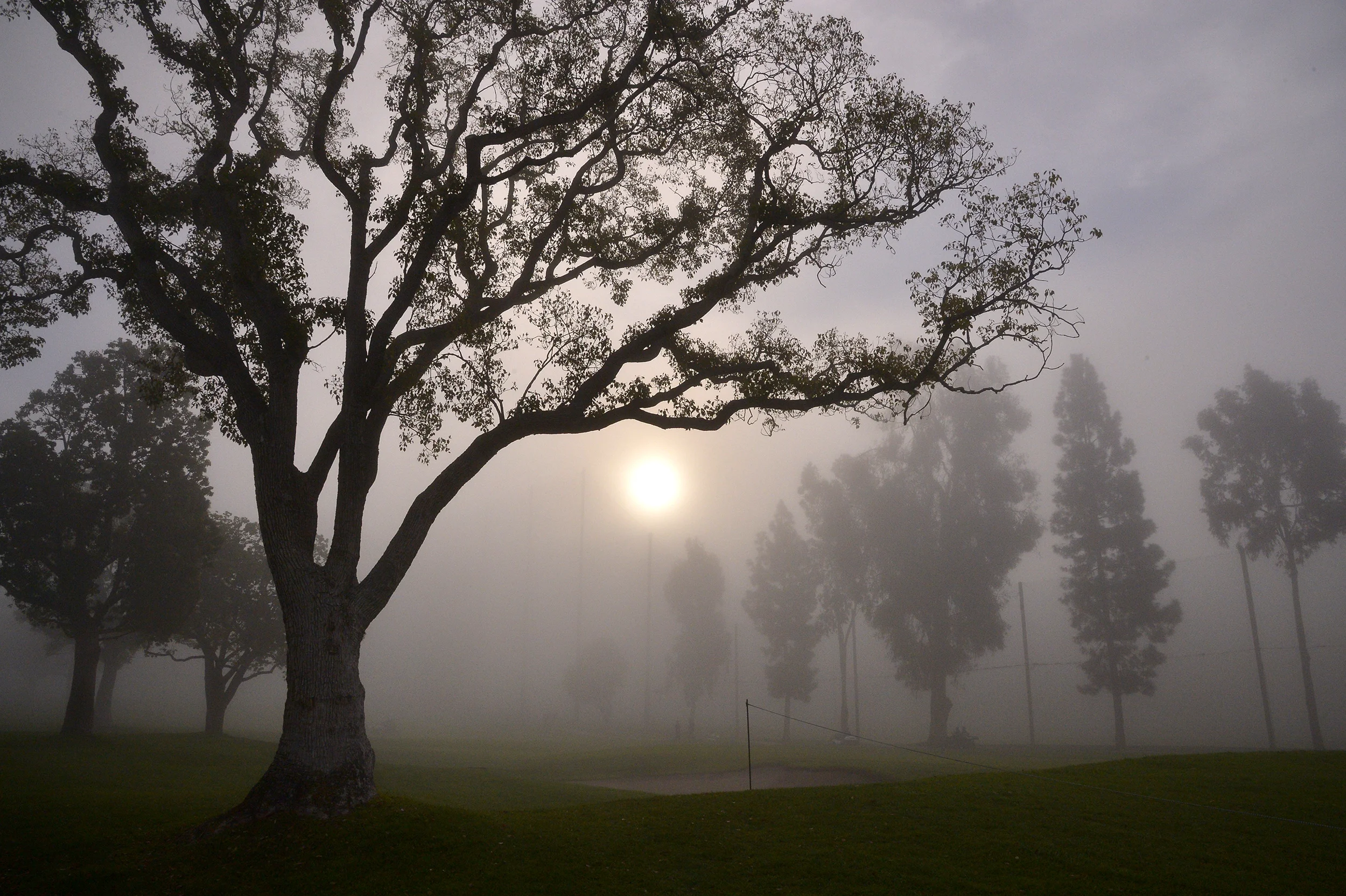 3rd Place - Photo Essay