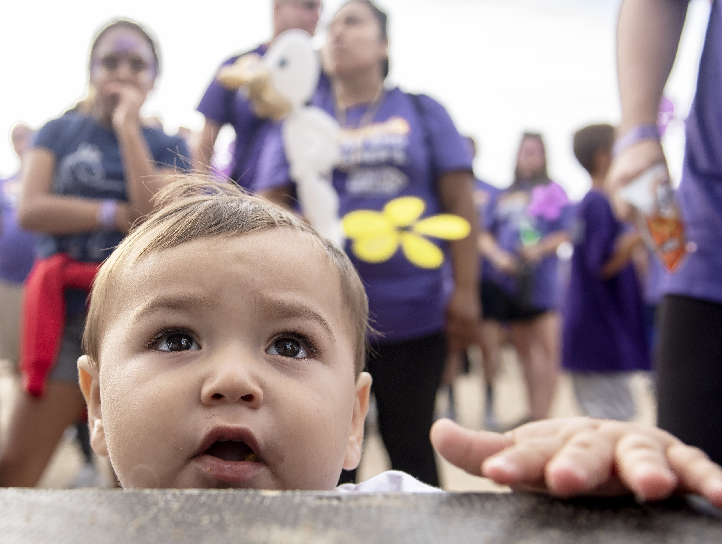  One-year-old Odin Griffiths watches the action on stage during the Walk to End Alzheimer's in Huntington Beach on Saturday, October 6, 2018. Griffiths' uncle passed away last July after a 3-year struggle with the disease. (Photo by Mindy Schauer, Or
