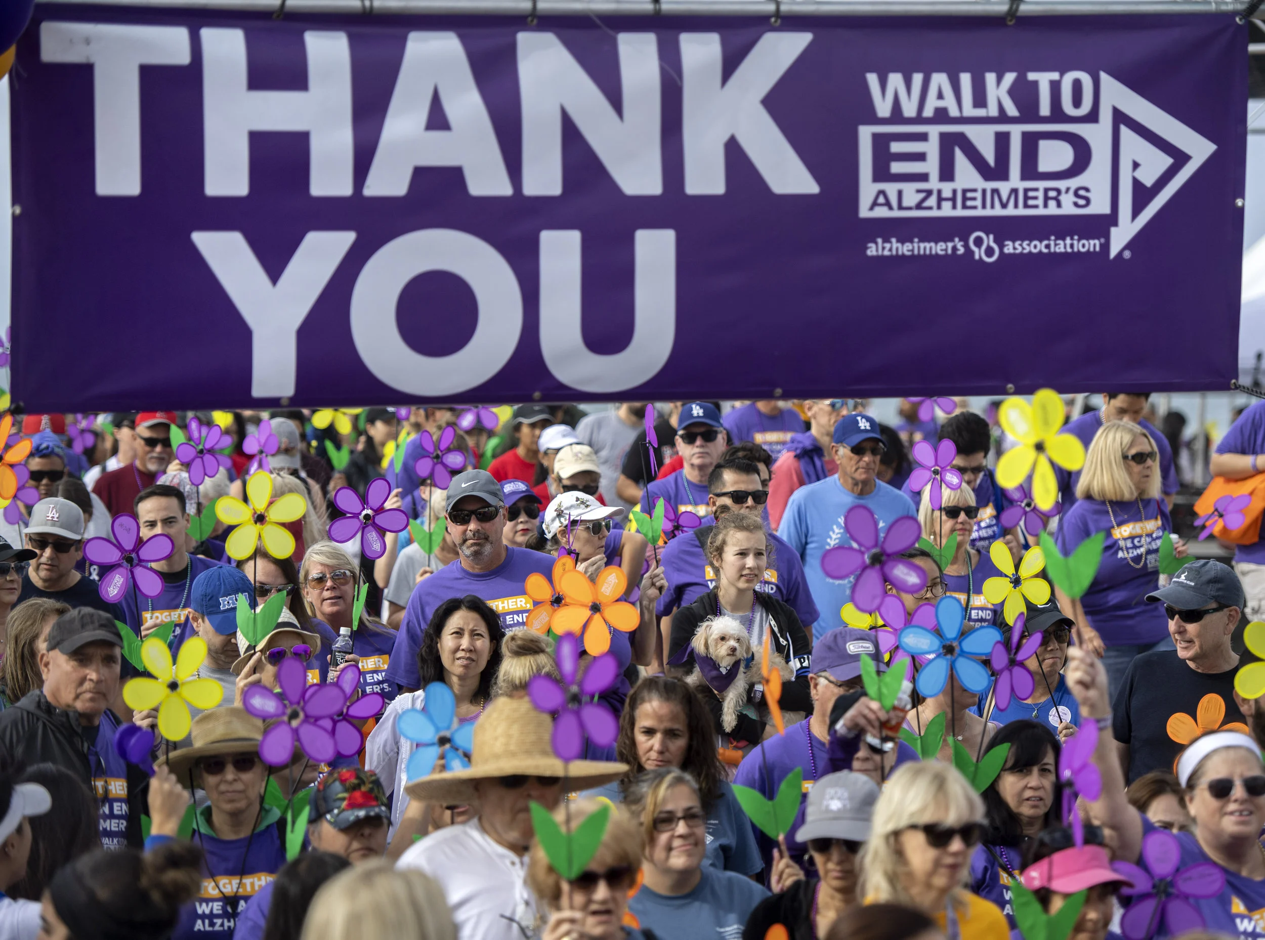 The Walk to End Alzheimer's attracts 25,000 people in Huntington Beach on Saturday, October 6, 2018. The event raised $268,000, just 20 percent short of its $335,000 goal. Donations are being collected until the end of the month. (Photo by Mindy Schauer, Orange County Register/SCNG)