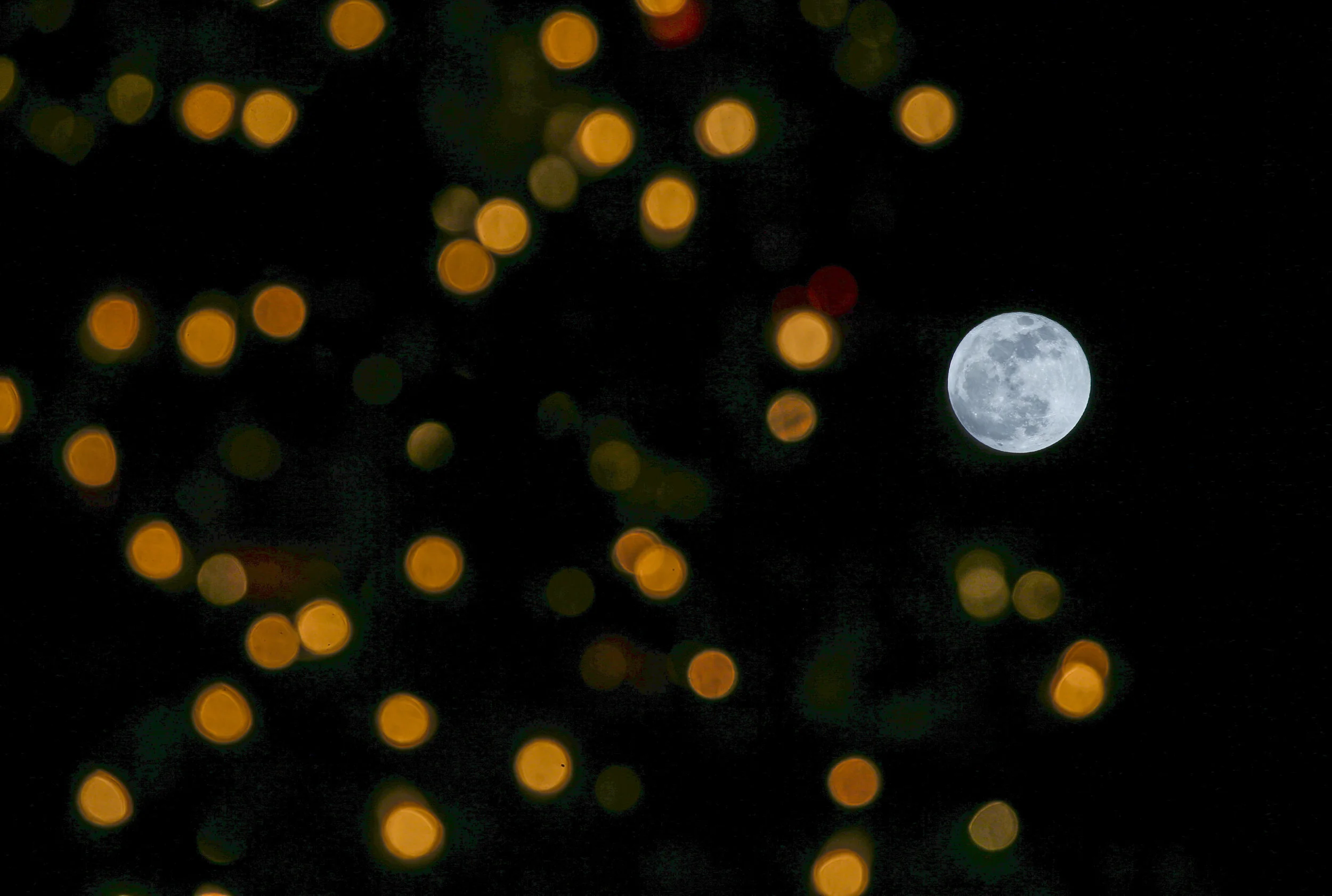  The full moon is seen behind a Christmas Tree at the Grand Park in downtown Los Angeles on Dec. 22, 2018. 