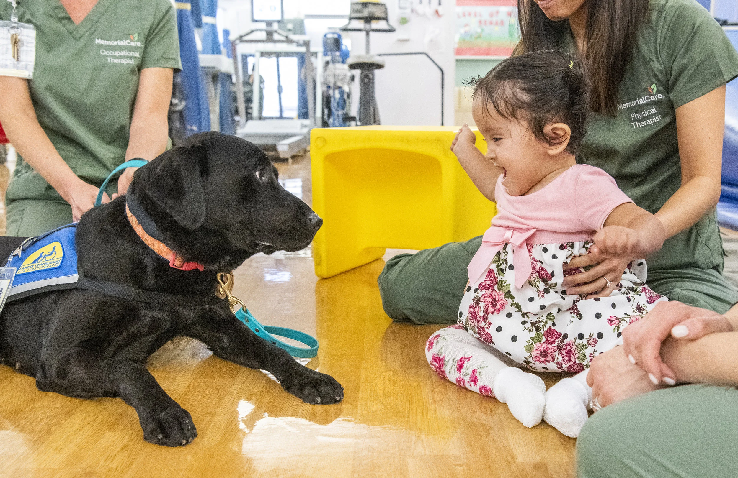  Amanda Perez, 2 of Los Angeles, reacts to Zeta, Facility Dog, during her therapy at Miller Children's & Women's Hospital In Long Beach January 10, 2019. Zeta is the hospitals first full-time Facility Dog. 