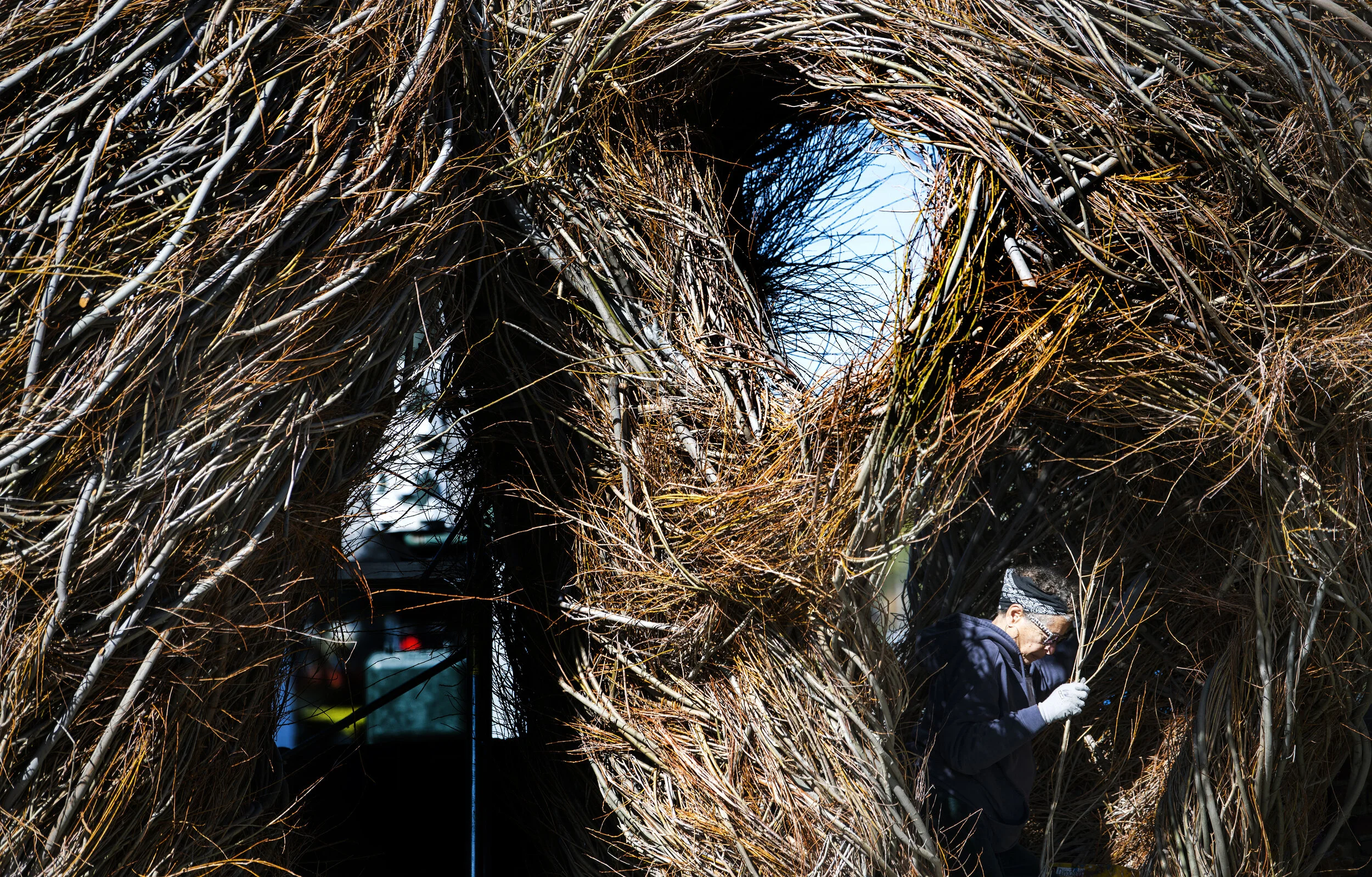  Doris Felix place smaller willow branches inside on one of the structures by Patrick Dougherty, sculptor, as they work on what is called Stickwork on his latest installation at the Long Beach Museum of Art in Long Beach Tuesday, Feb.19, 2019. 