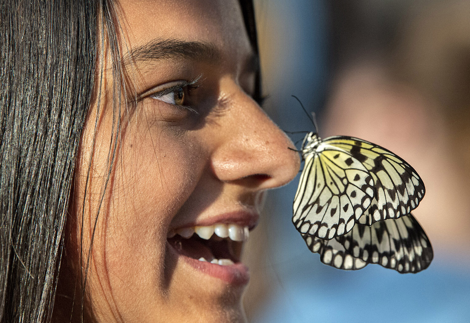 Cole Jones, 15, of Placentia overcomes her fear of butterflies, as one lands on her nose. She was at the OC Fair SkyRiver Exotic Butterflies exhibit in Costa Mesa, CA on Wednesday July 31, 2019.