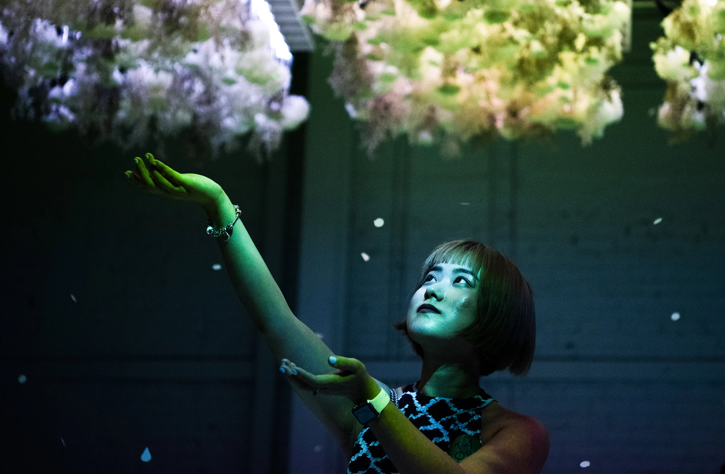 Victoria Zhang, 23 of Los Angeles, attempts to catch peddles falling from the flowers up above during the exhibition with real flowers, light, and AR interactions, smell and sound The Art of Bloom pop-up exhibition at the Edison Theater in Long Beac