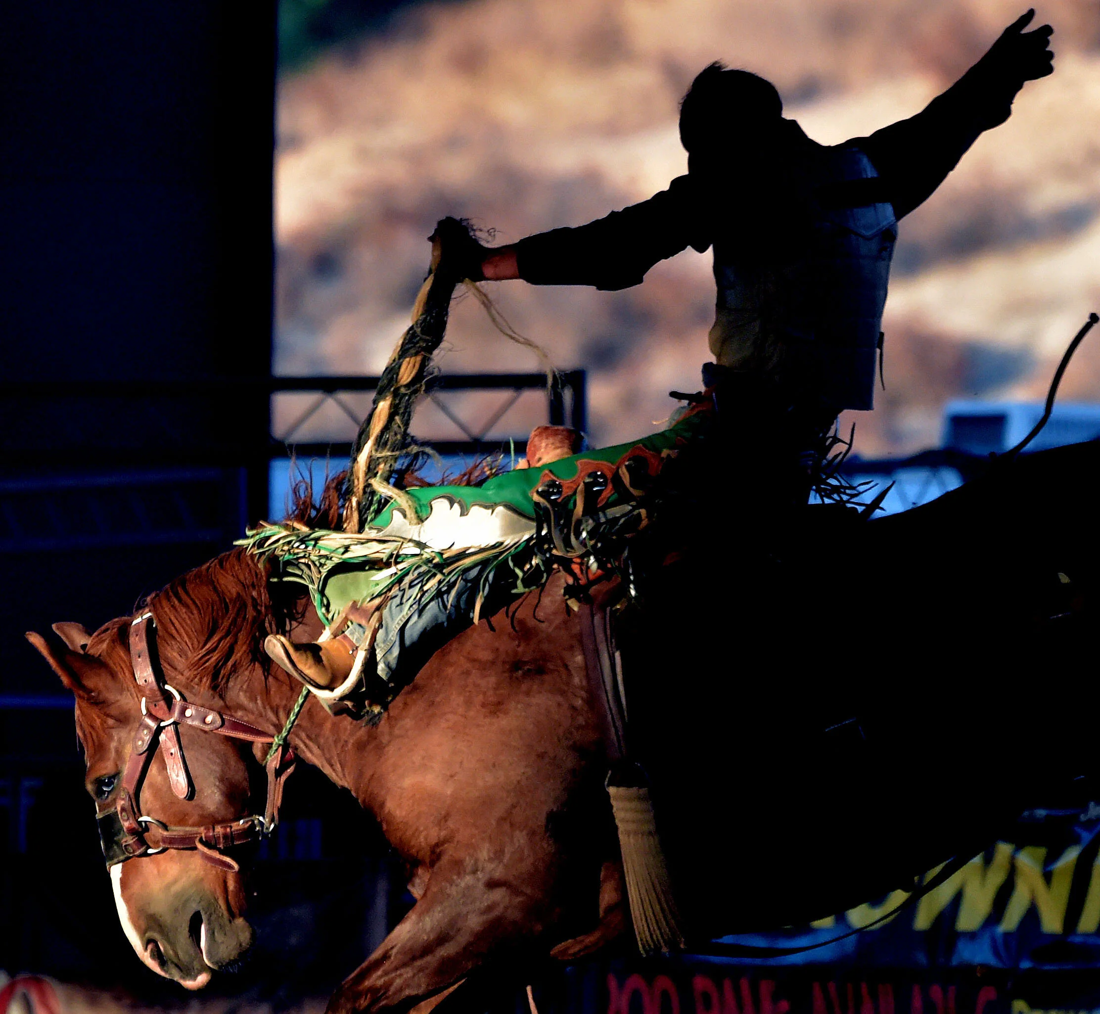  Saddle Bronc rider Allen Boone, from Axtell, Utah, rides OwenÕs Mistake to a no score during the 35th Annual Norco Mounted Posse PRCA Rodeo at the George Ingalls Equestrian Event Center in Norco Sunday, Aug. 25, 2019.  