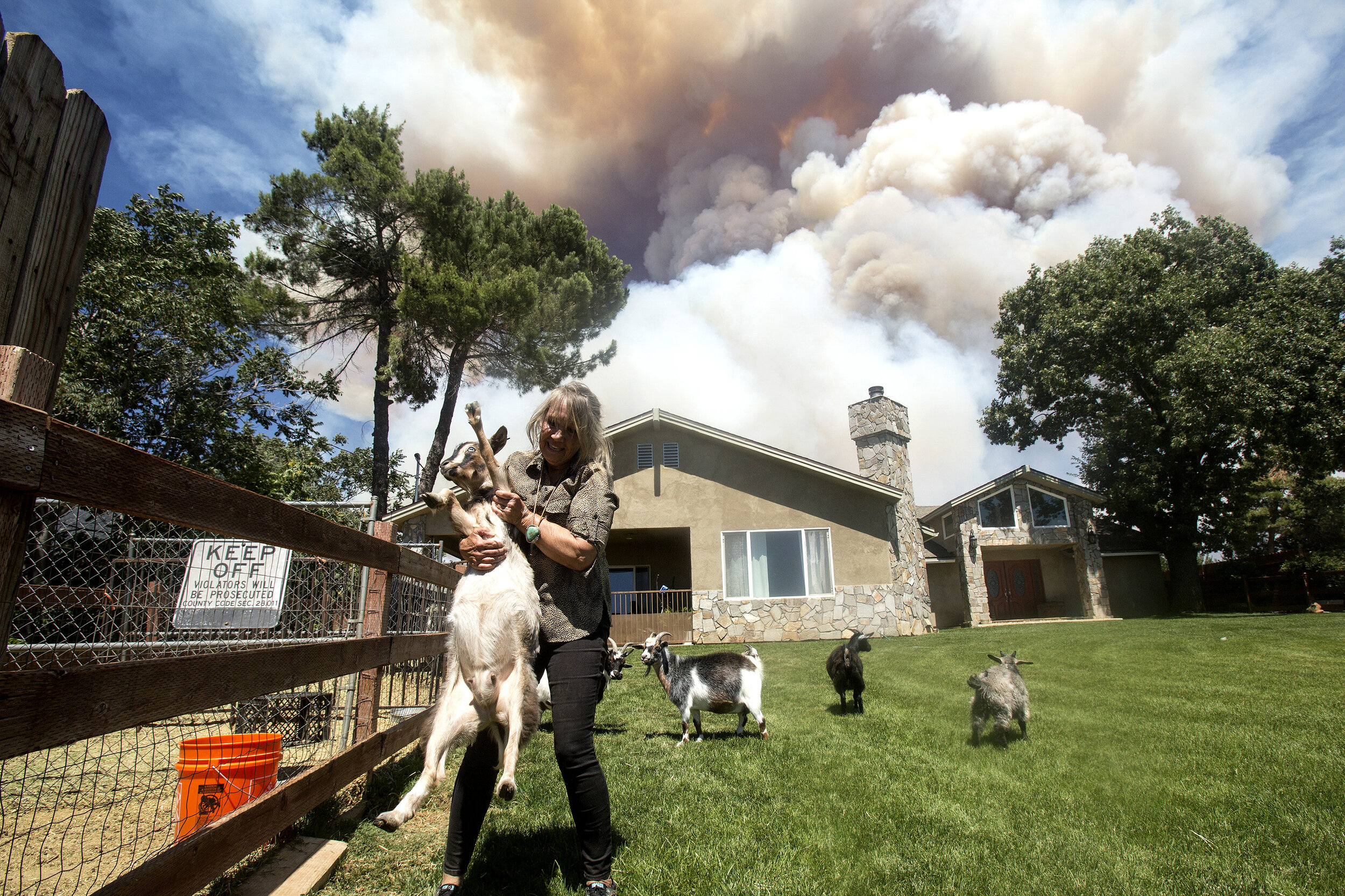  Diane Brickley comes back home to take care her goats after evacuated as a brush fire burns nearby at the Apple Fire in Cherry Valley, Calif., Saturday, Aug. 1, 2020. The 2020 California wildfire season was characterized by a record-setting year of 