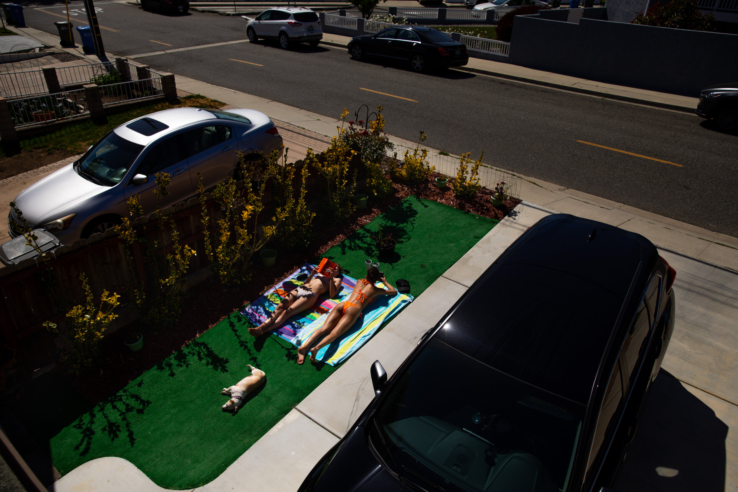  "Quaran-Tan" Adhering to the California stay-at-home self quarantine order during the coronavirus pandemic, sisters Britta, left and Haley Cameron, 23, joined by their dog Kiki, utilize a patch of astroturf next to their home driveway in Redondo Bea