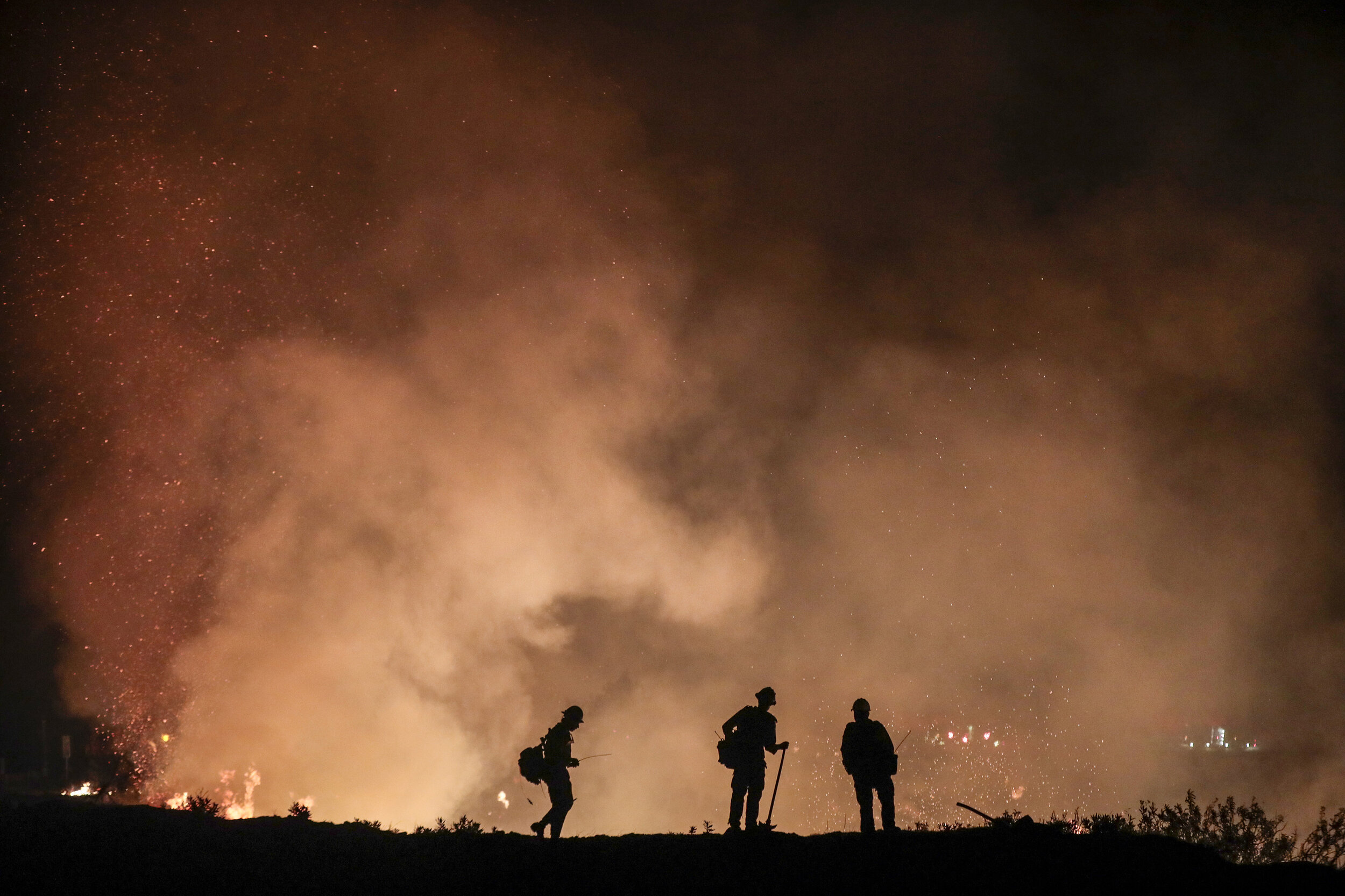  Firefighters monitor the progress of the Bobcat fire as it burns deep in the Angeles National Forest. Several types of wildlife and aquatic creatures such as fish, frogs and western pond turtles face extinction as a result of the fires. 