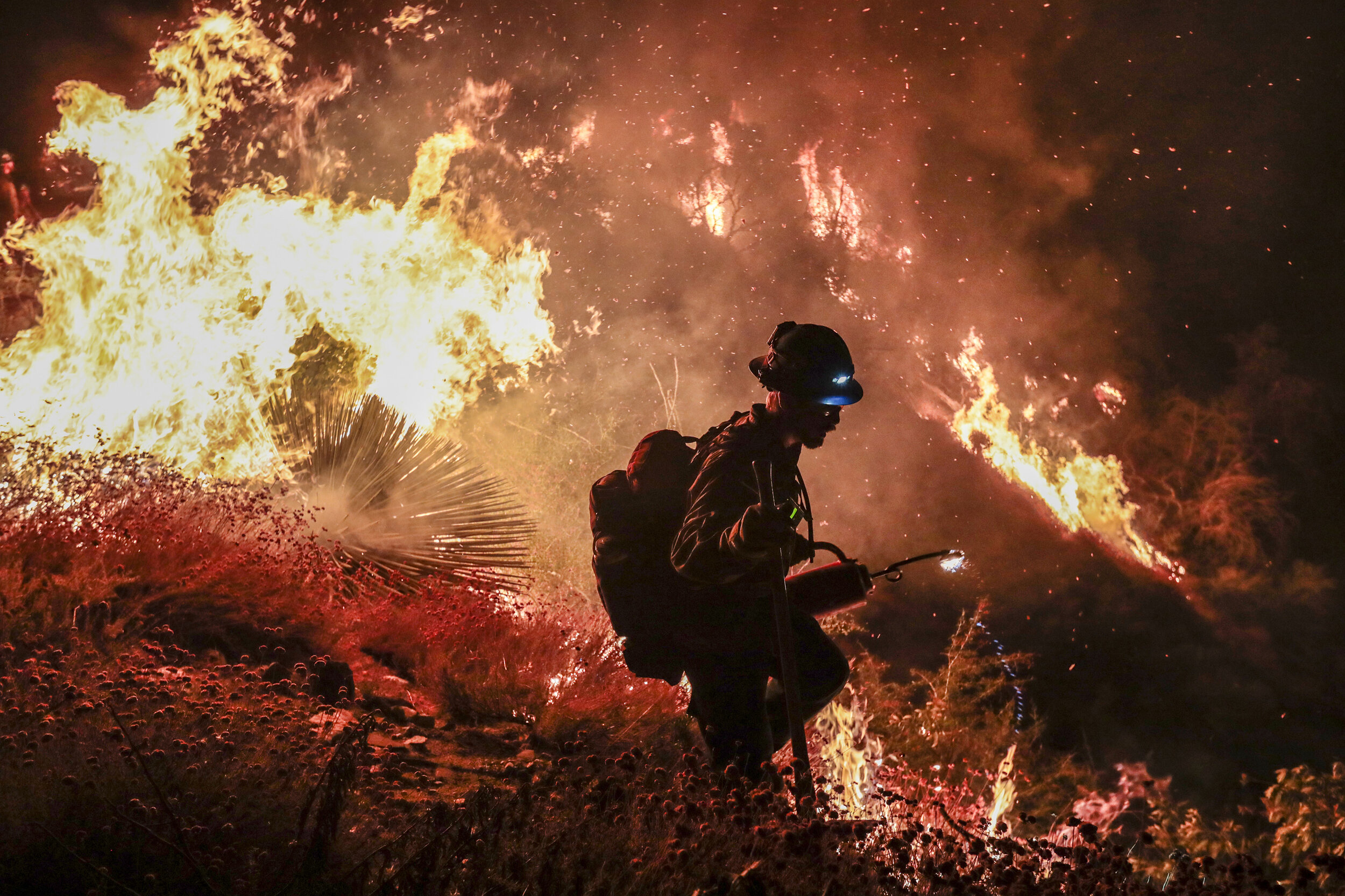  Firefighter Sam Wycoff ignites dry brush as members of the Blue Ridge, Arizona hot shot crew execute a burn out operation as the Bobcat Fire progresses closer to Mt. Wilson, home of the Mt. Wilson Observatory and numerous communication towers deemed