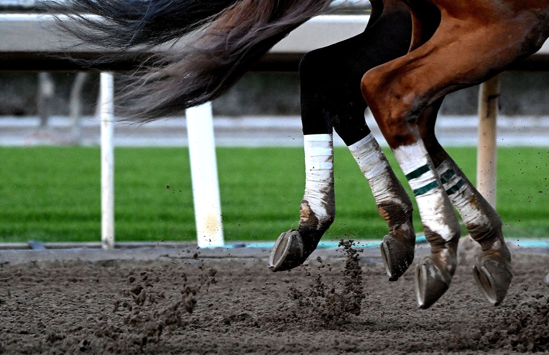  The Malibu Stakes Grade 1 race during Opening day of the winter-spring meet at Santa Anita Park in Arcadia on Sunday, December 26, 2021.  
