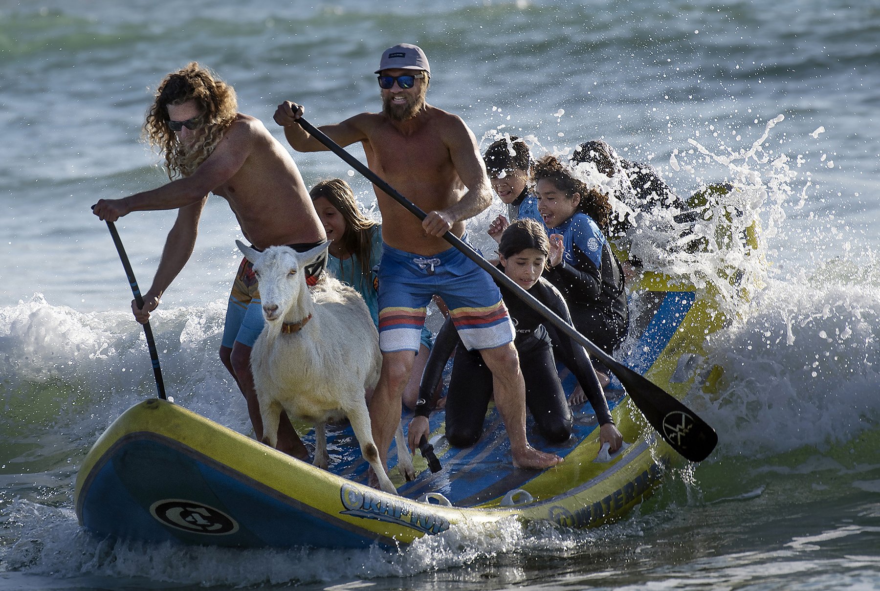 Animal- First Place - Mindy Schauer, Orange County Register