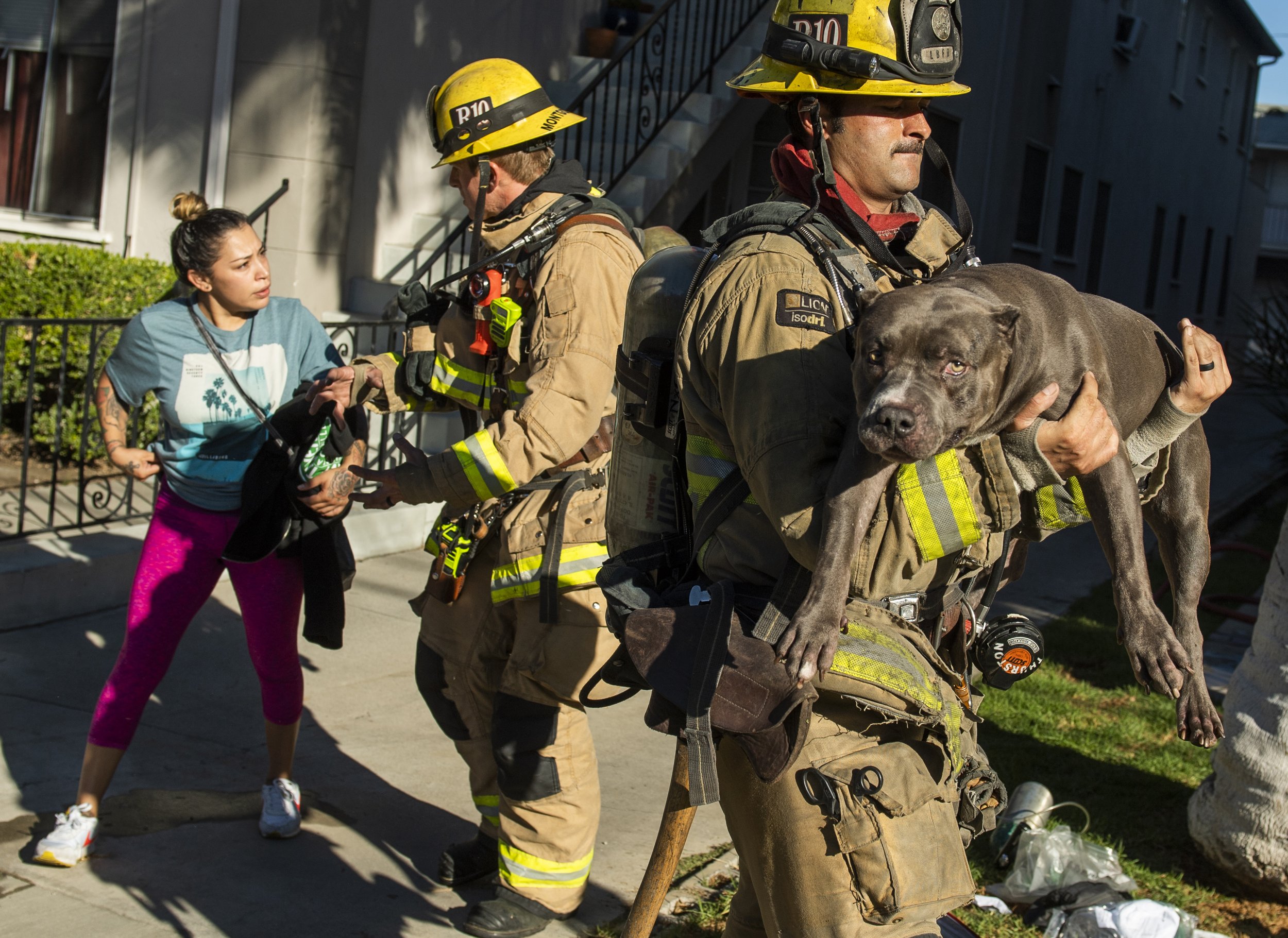 Animal - Second Place – Thomas R. Cordova, Long Beach Post