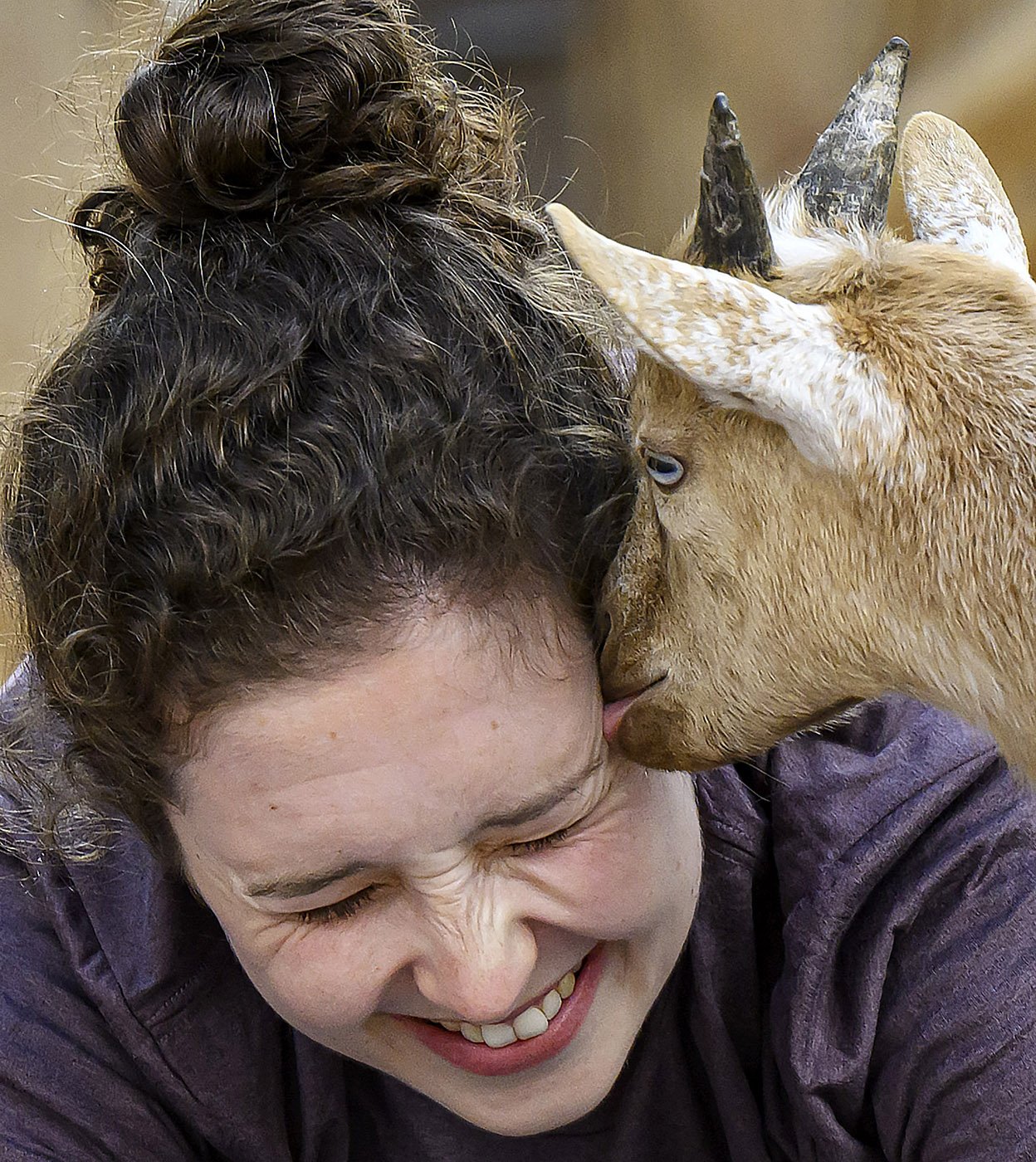  A goat plants a wet kiss on Annika Nelson’s cheek during Yin Yoga class at Goods and Goats in San Juan Capistrano on Sunday, August 28, 2022. Goat yoga is a popular feature at the farm.  