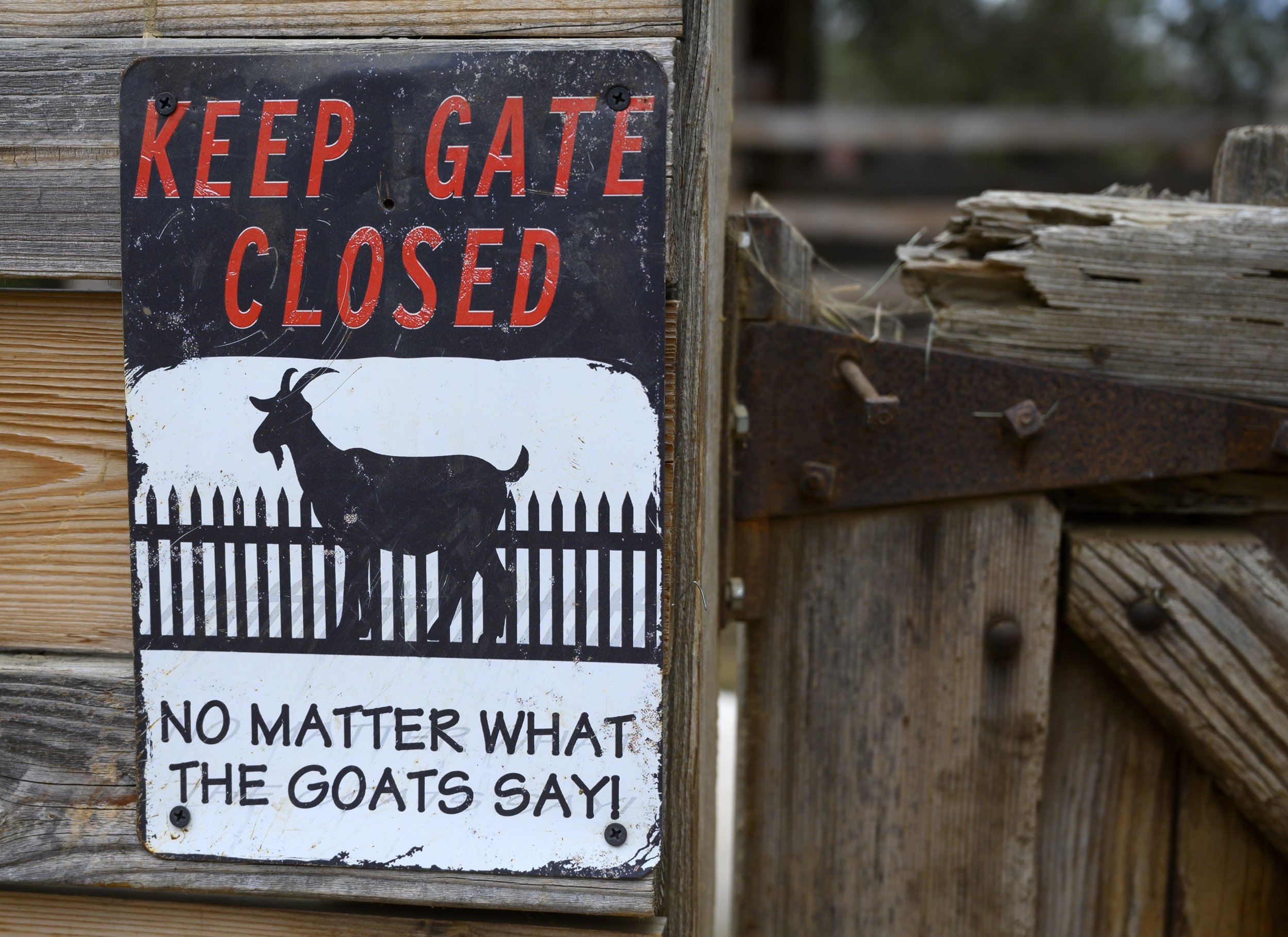  The landscape at Goods and Goats Market in San Juan Capistrano features goat-themed signs and authentic antiques.  