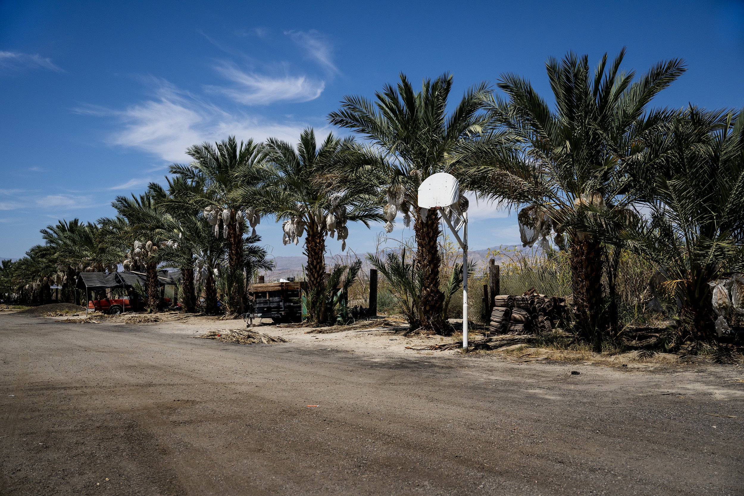 PHOTOESSAY_3107380134_Extreme_Heat_for_Farm_Workers_04.jpg