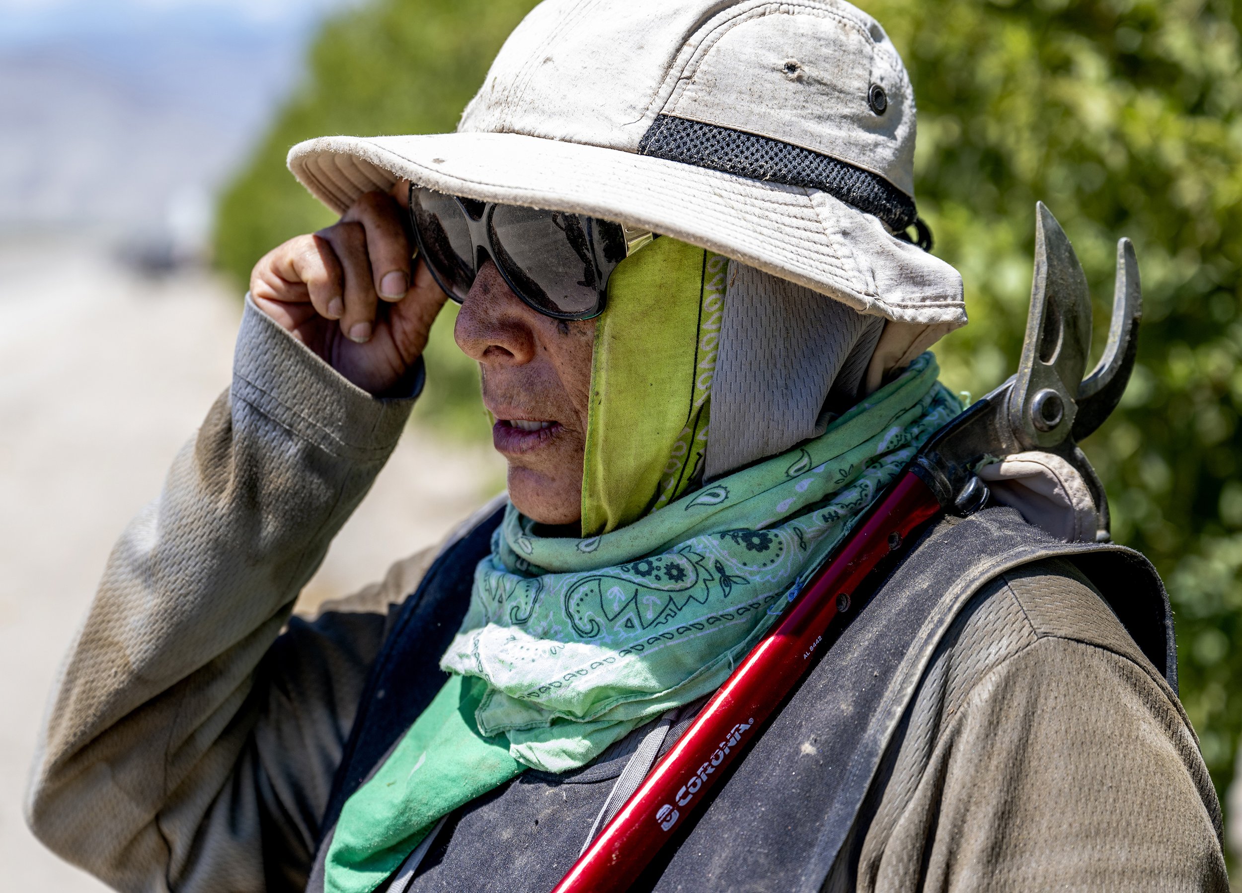 PHOTOESSAY_3107380134_Extreme_Heat_for_Farm_Workers_08.jpg