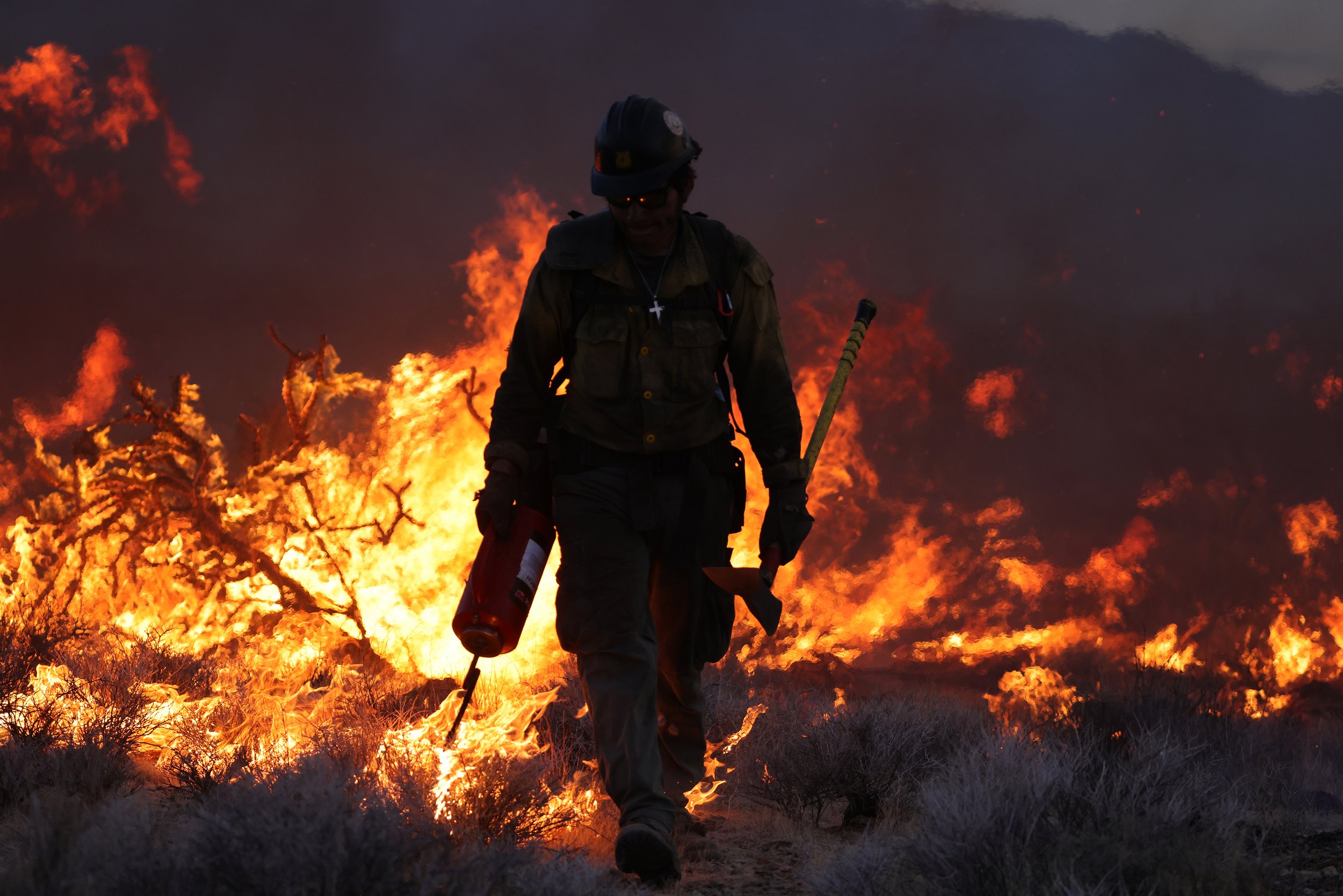 PHOTOESSAY_2672857189_MOJAVE_FIRE_BURNS_JOSHUA_TREES_02.JPG