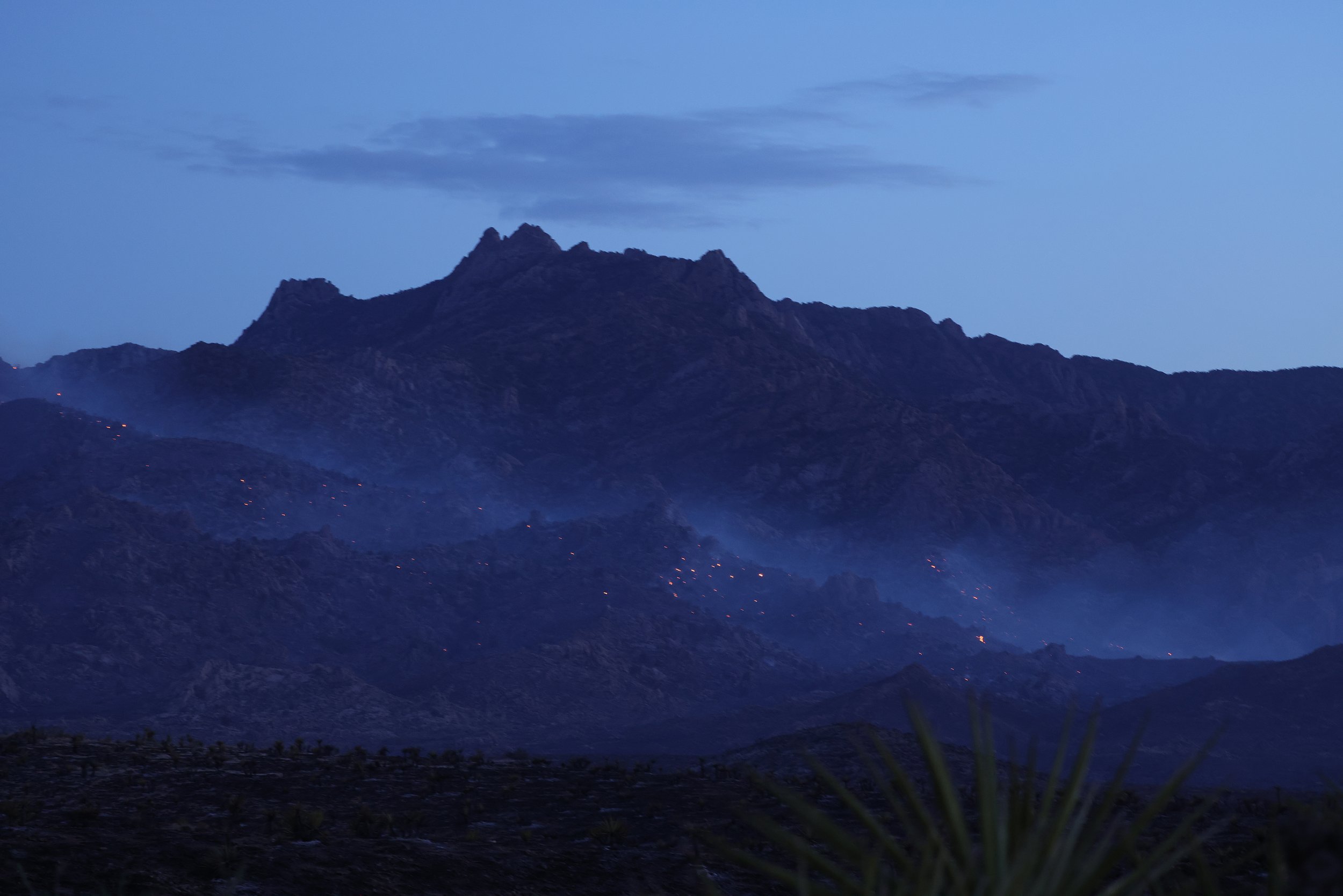 PHOTOESSAY_2672857189_MOJAVE_FIRE_BURNS_JOSHUA_TREES_04.JPG