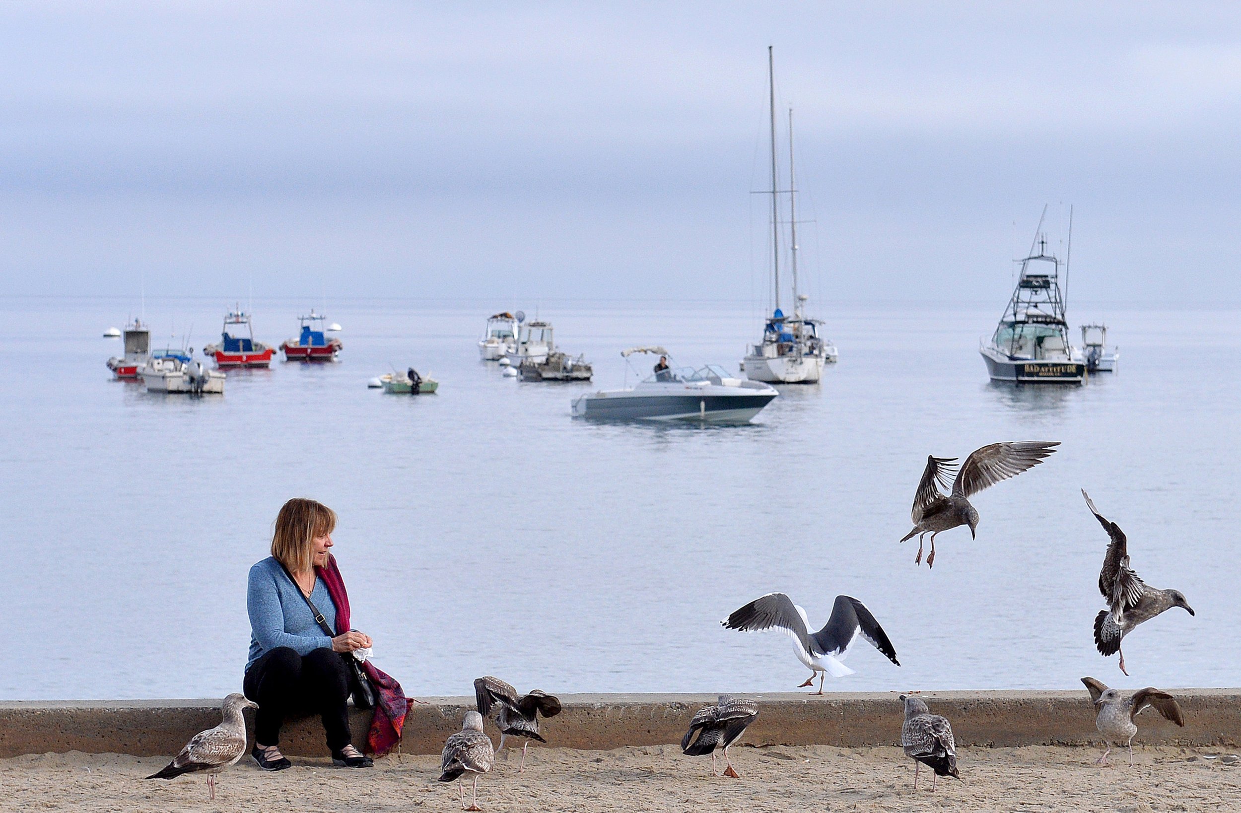  Marie Thibeault from San Pedro, enjoys a moment watching her gull friends in Avalon on Catalina Island on Sunday, Jan. 7, 2018.  (Photo by Dean Musgrove, Los Angeles Daily News/SCNG) 