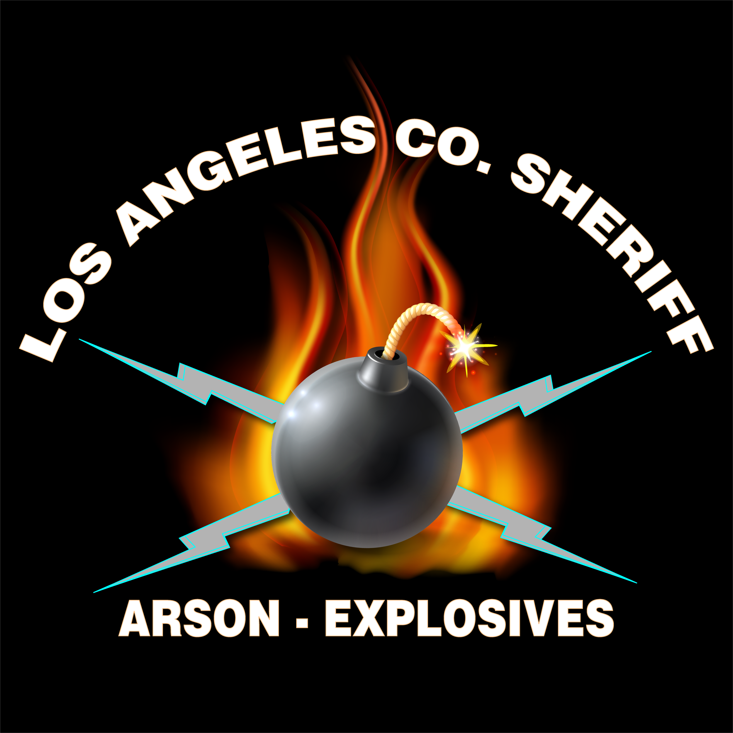 14 x 14 bomb squad logo A1.png